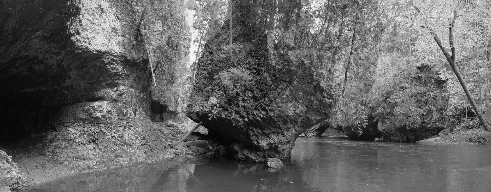 Arc of Appalachia IV