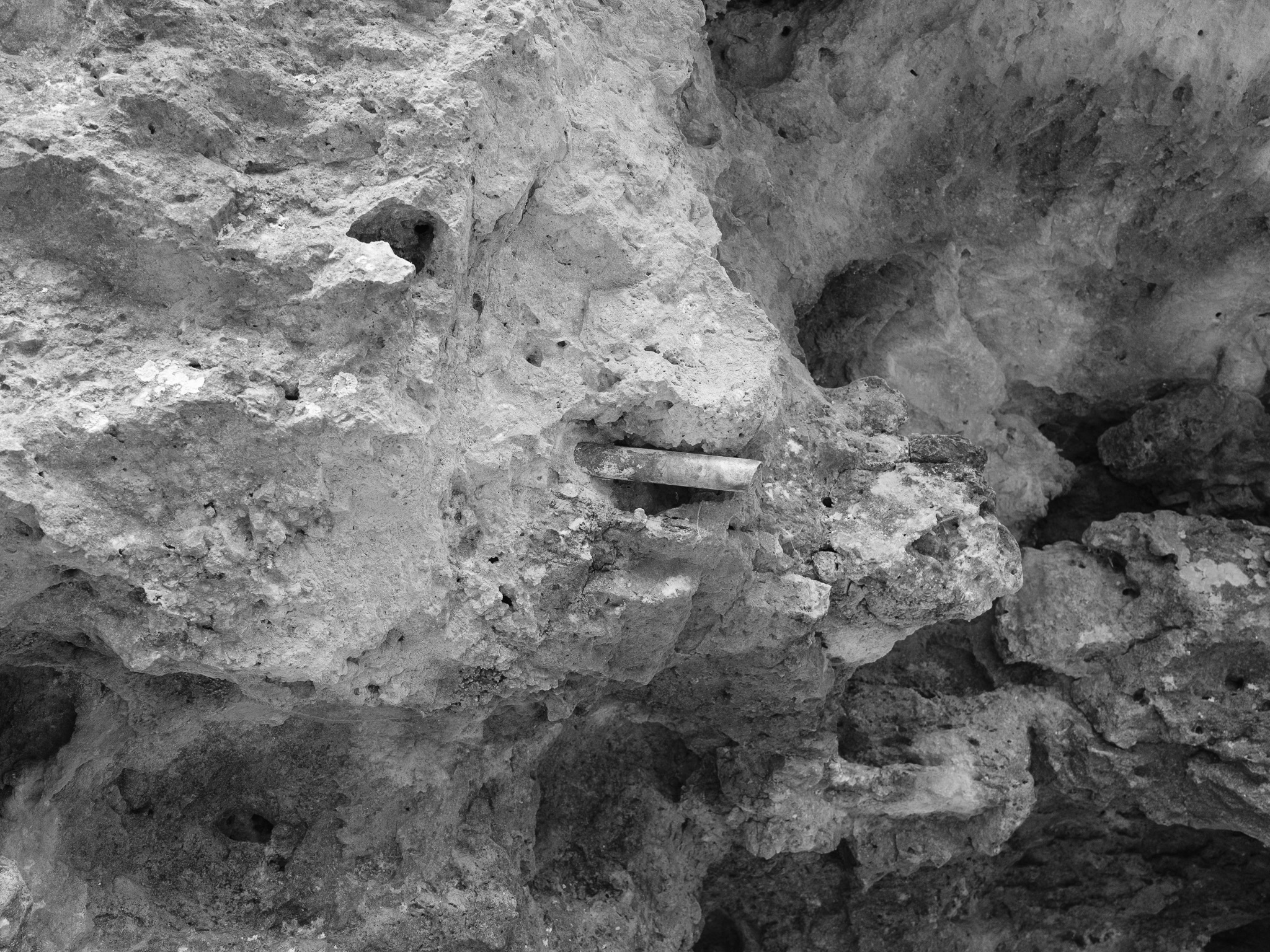 Arc of Appalachia IV