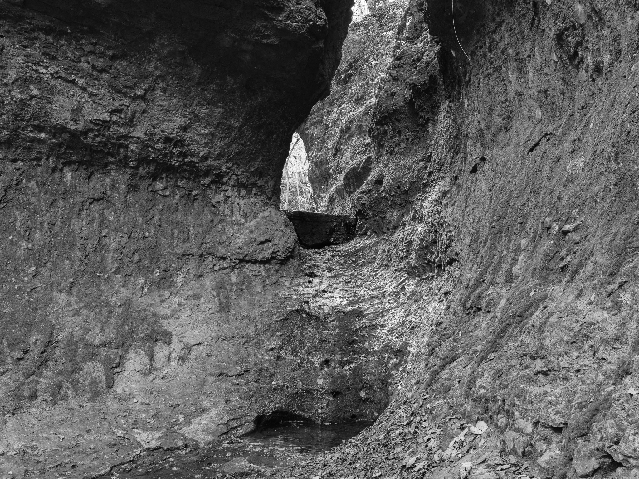 Arc of Appalachia IV