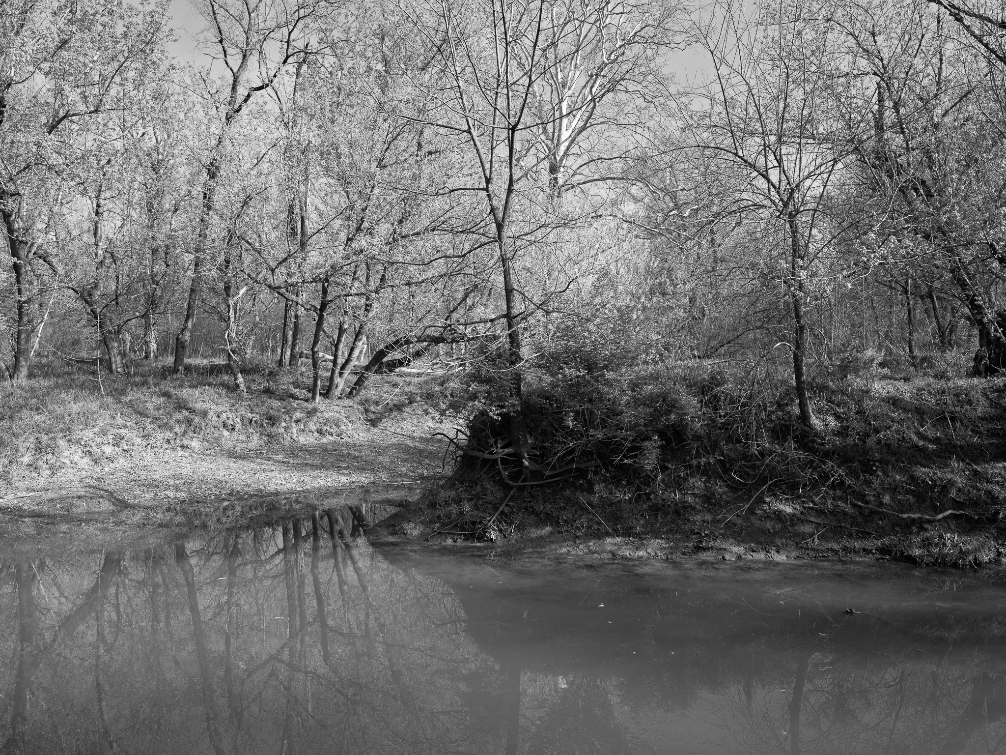 Big Bone Lick State Historic Site VII