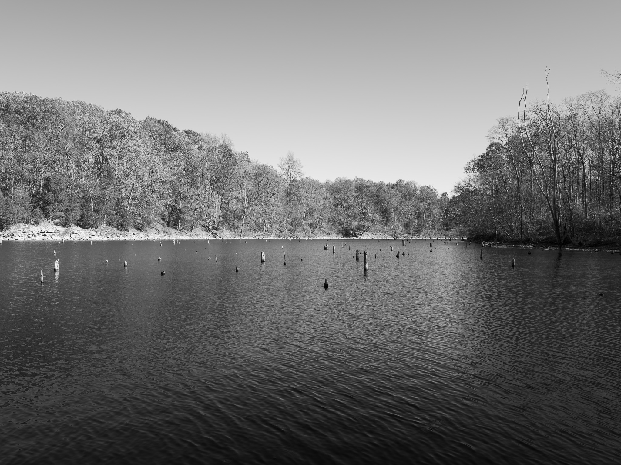 Caesar Creek State Park III
