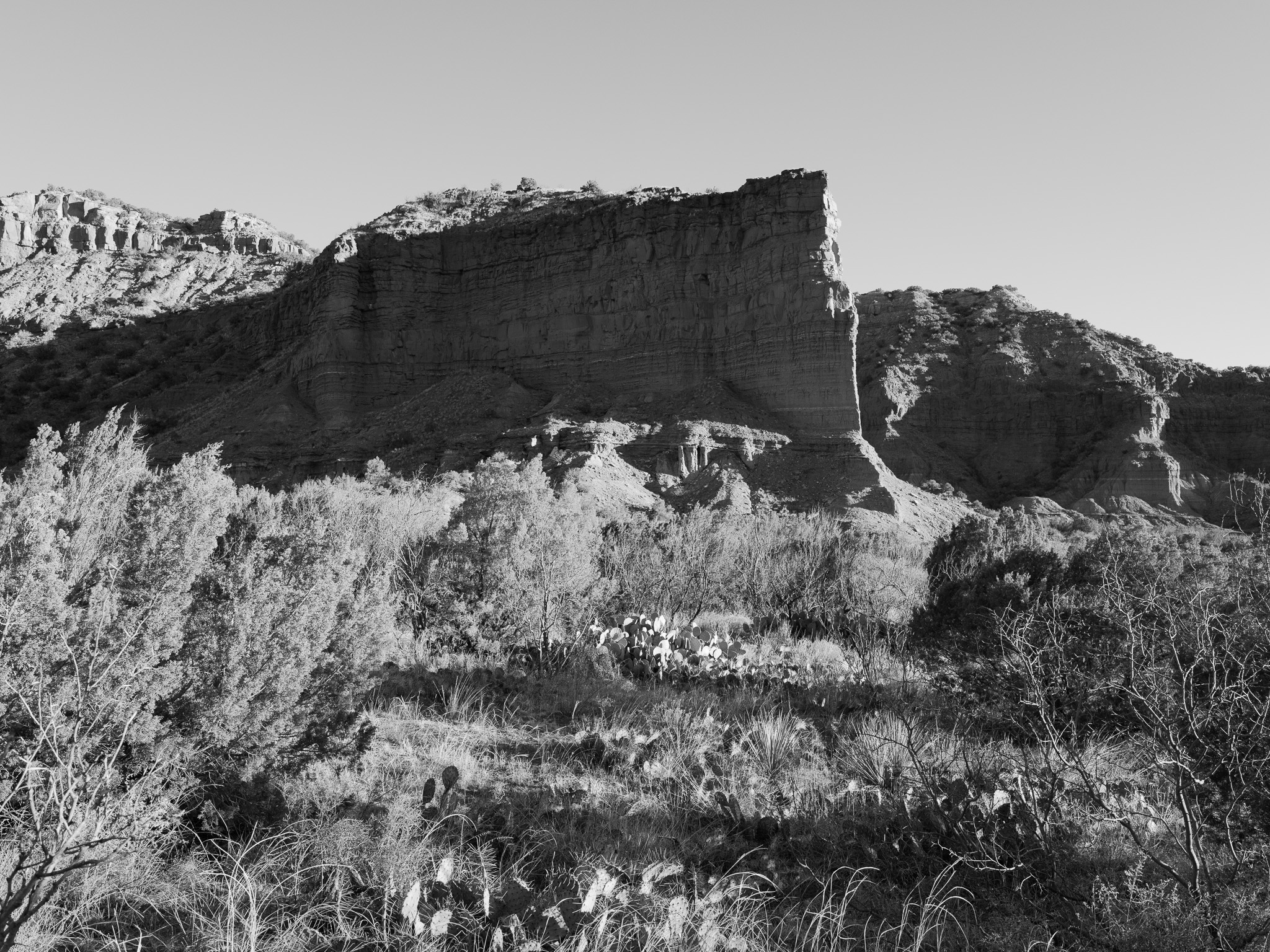 Caprock Canyon State Park V