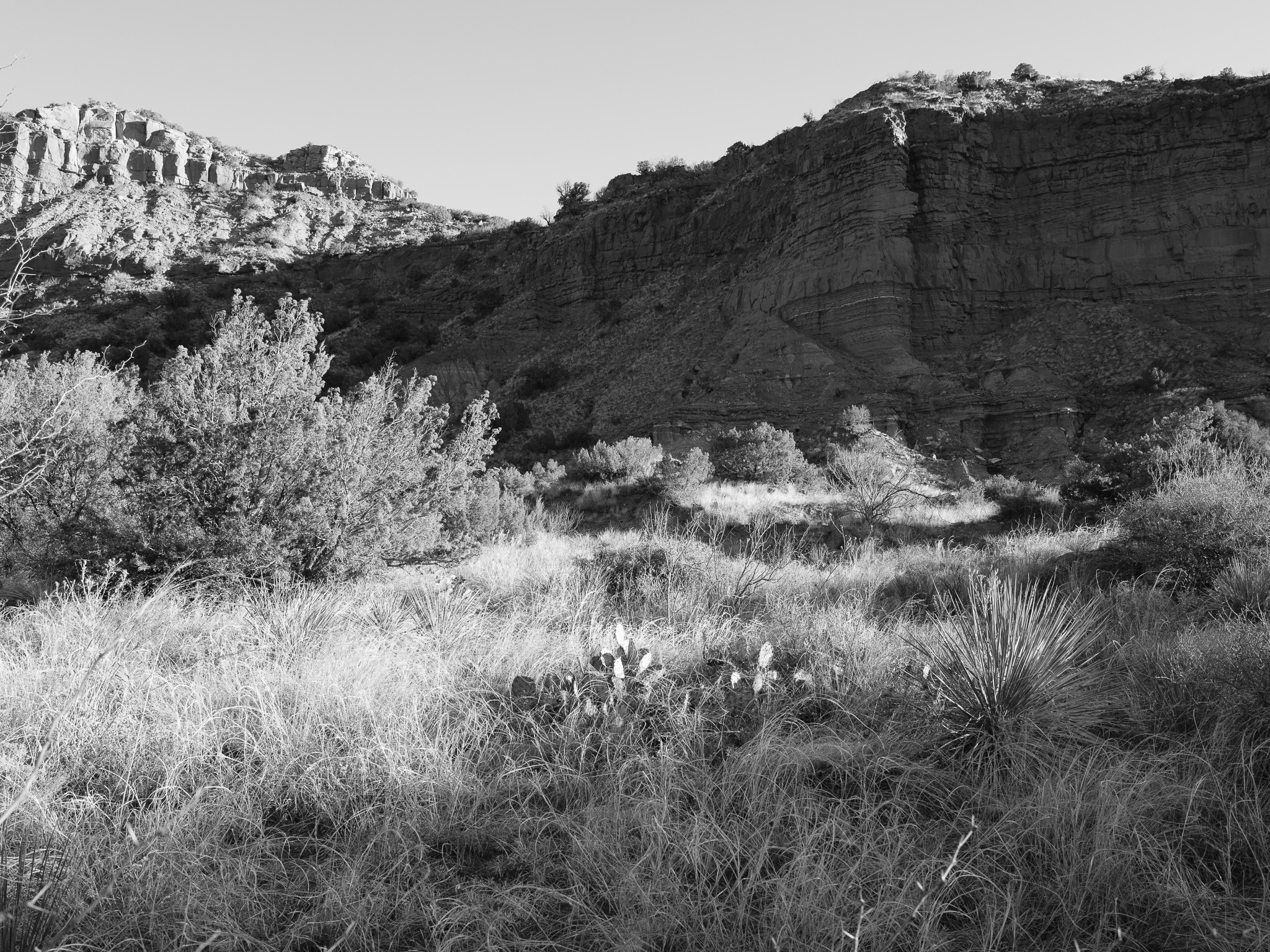 Caprock Canyon State Park VI
