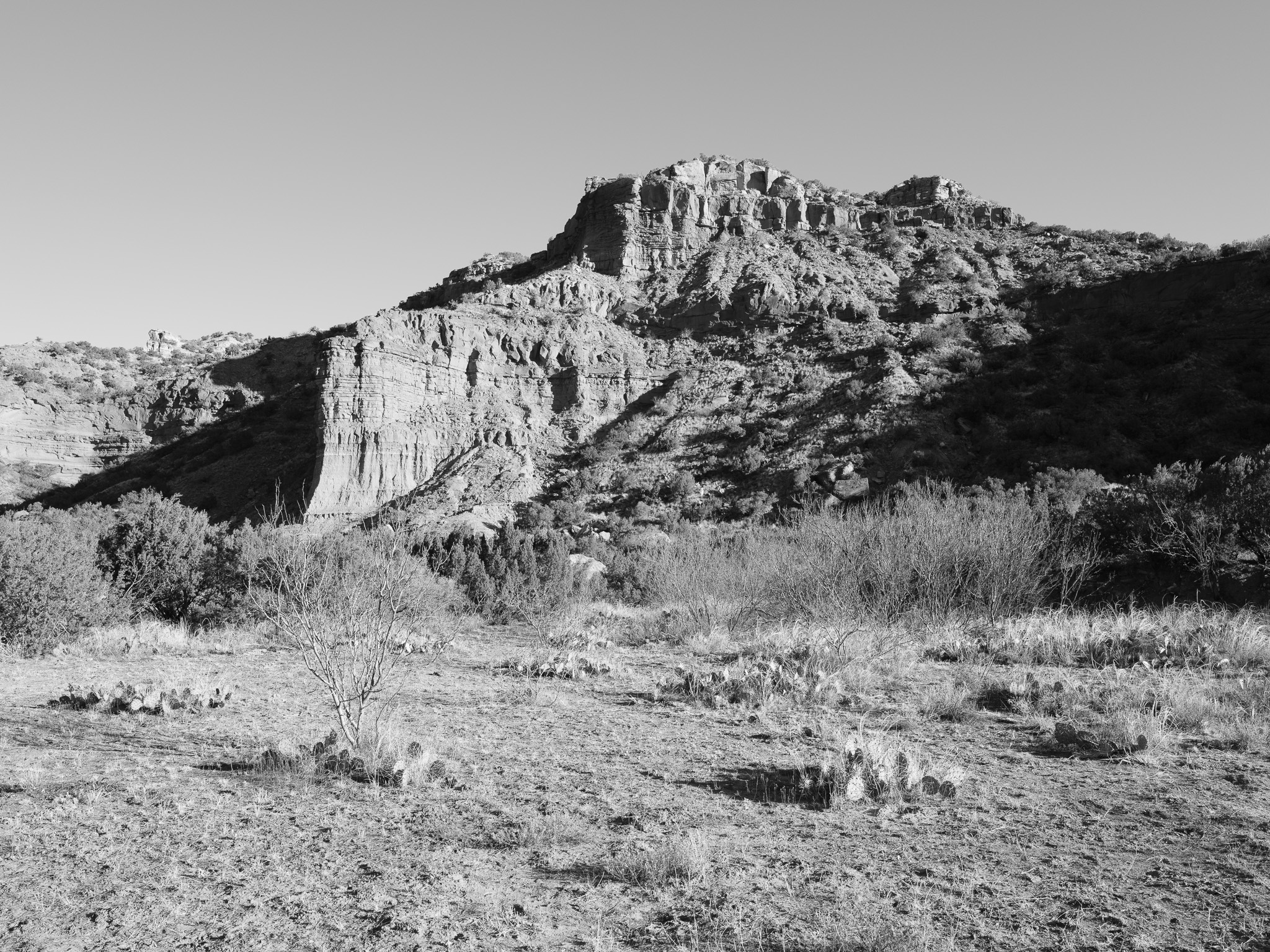 Caprock Canyon IV