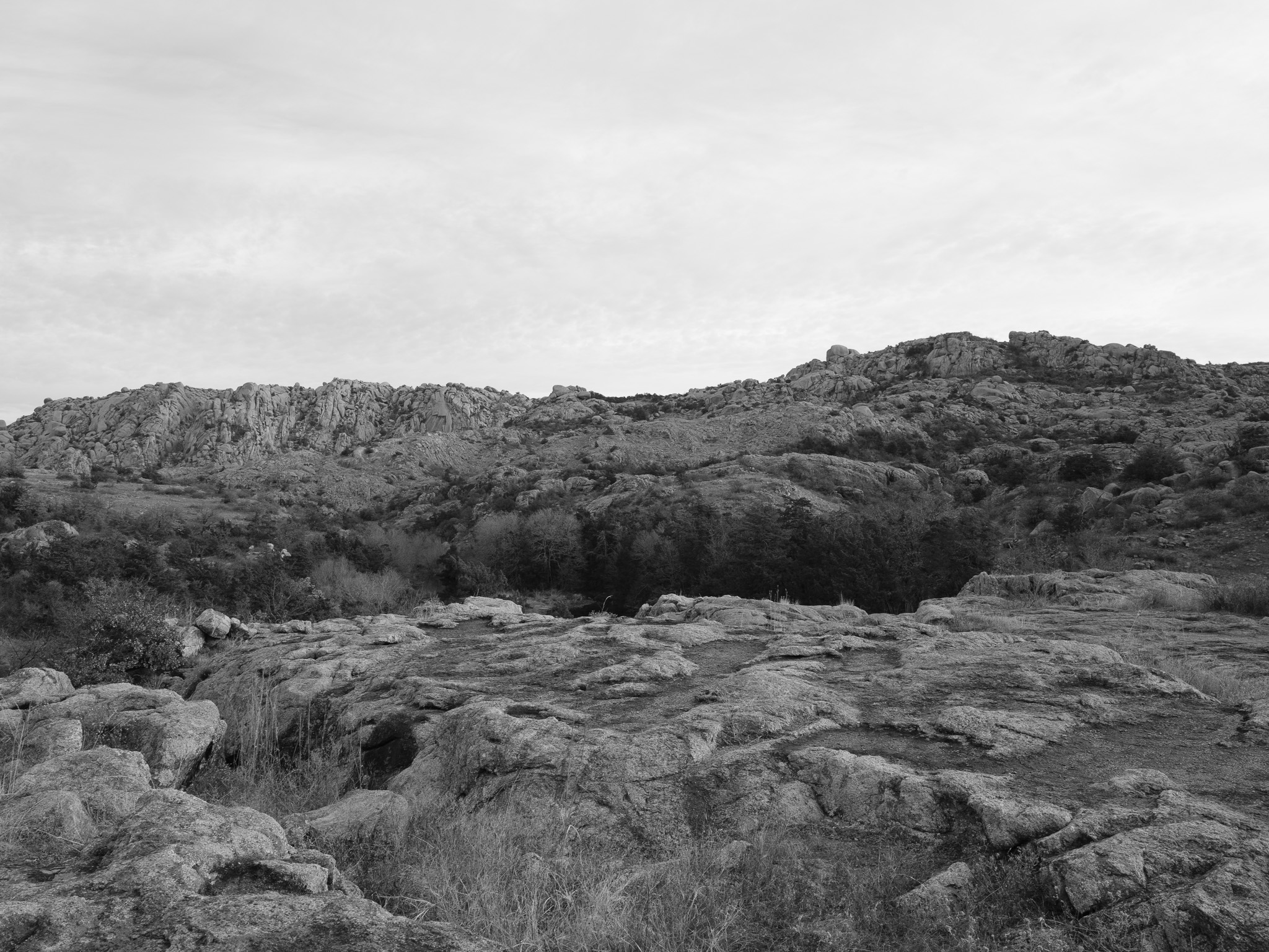 Charon’s Garden III