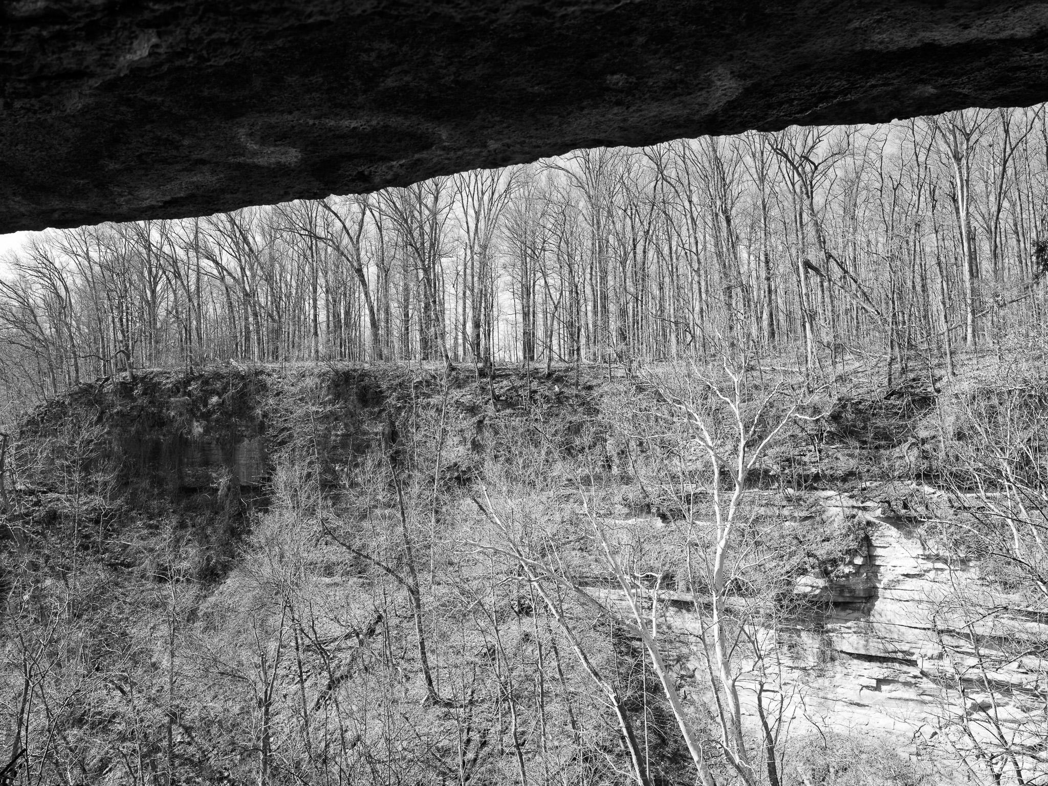 Clifty Falls State Park I