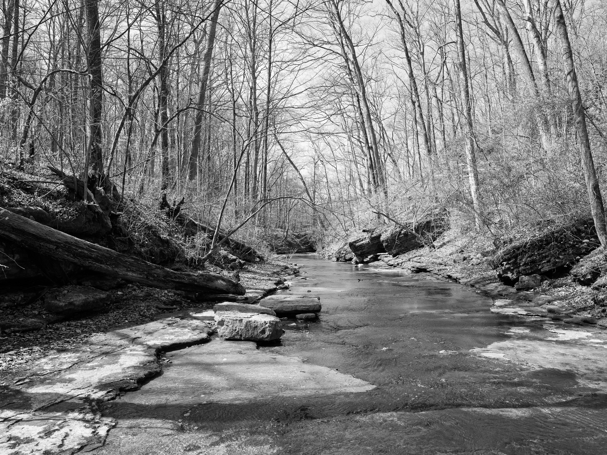 Clifty Falls State Park IV