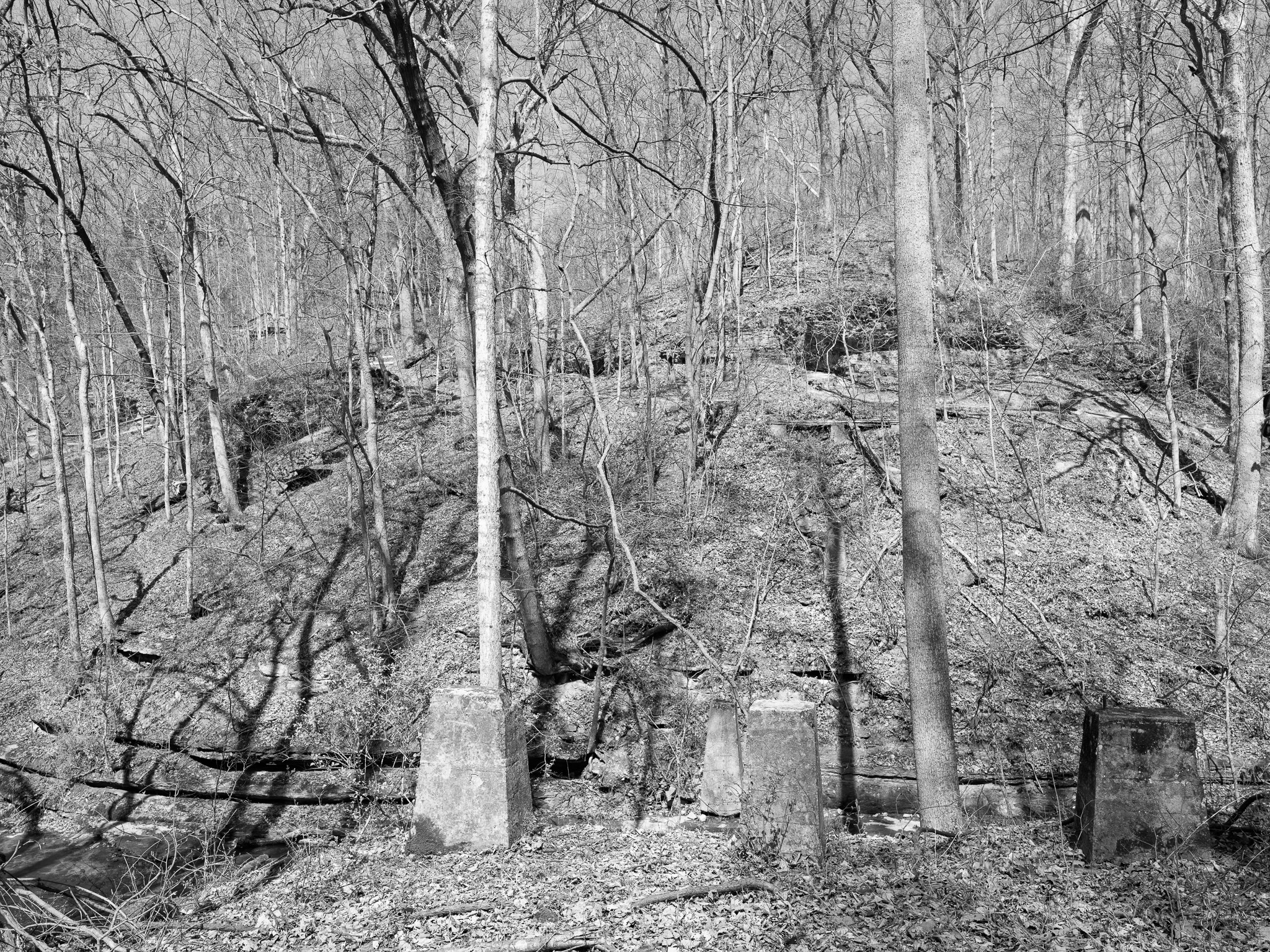Clifty Falls State Park V
