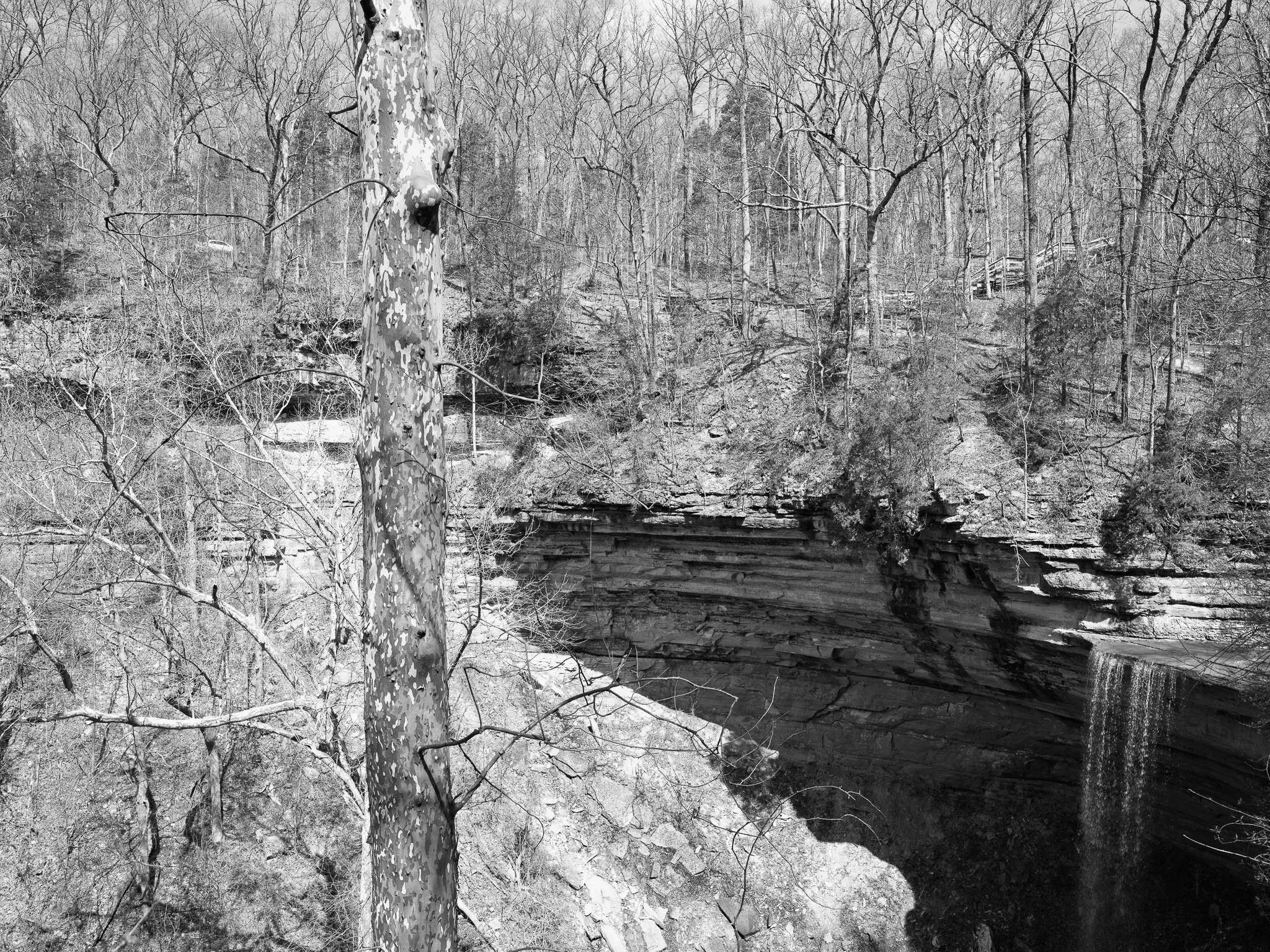 Clifty Falls State Park VI