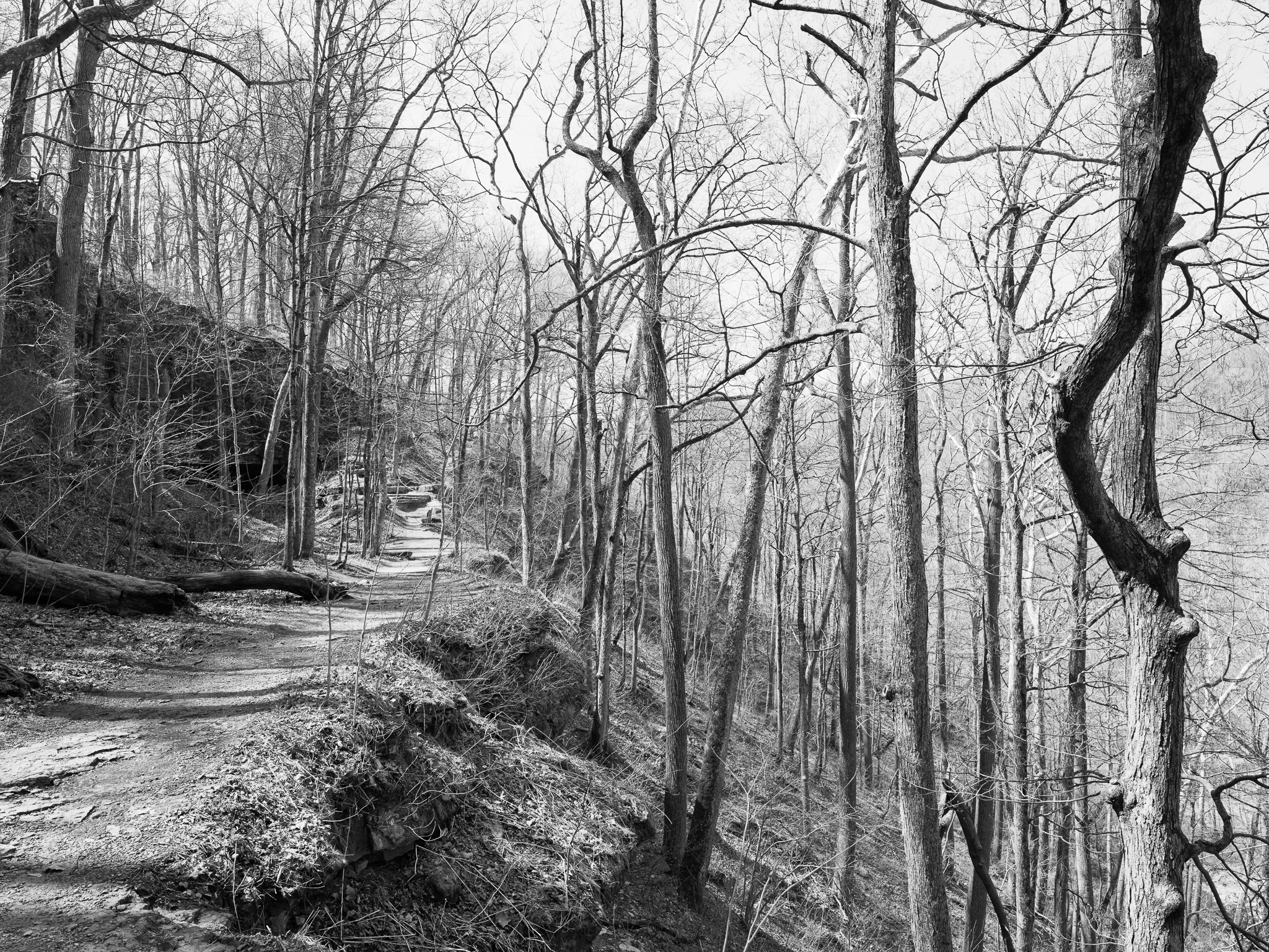 Clifty Falls State Park VII
