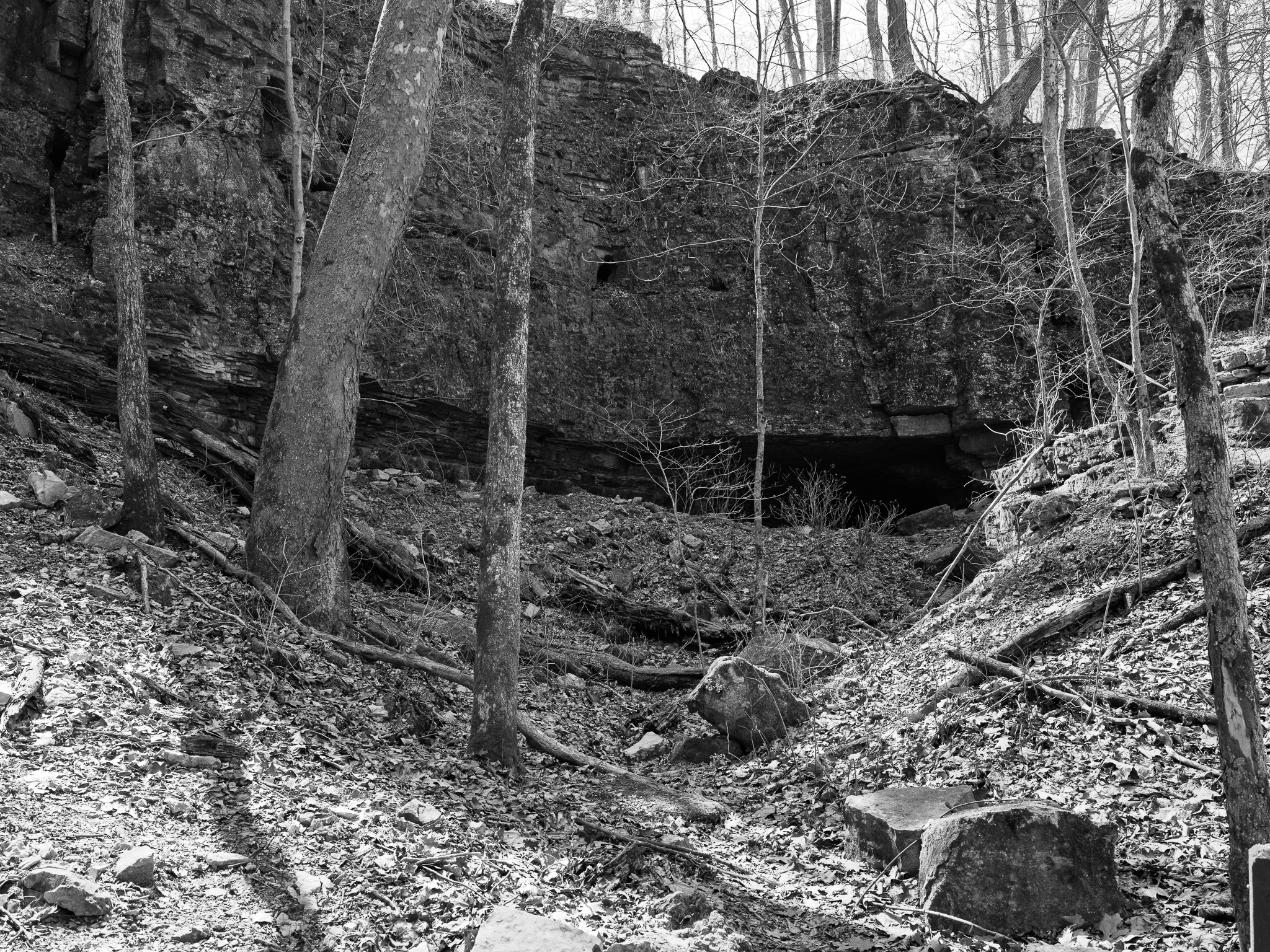 Clifty Falls State Park VIII