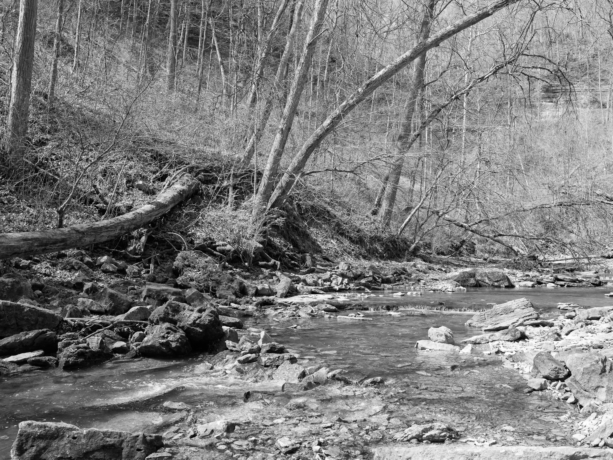Clifty Falls State Park IX