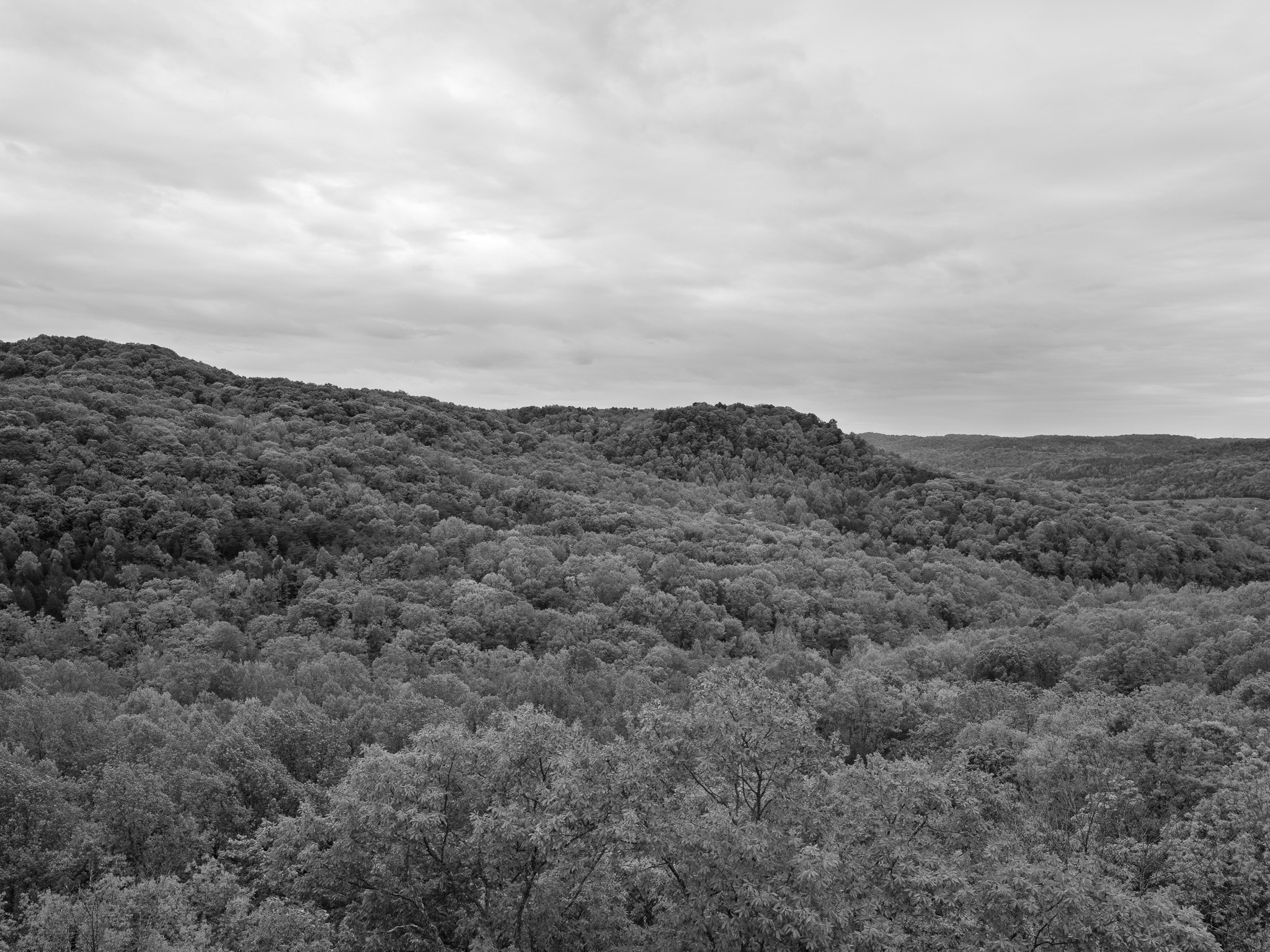 Edge of Appalachia Preserve IX