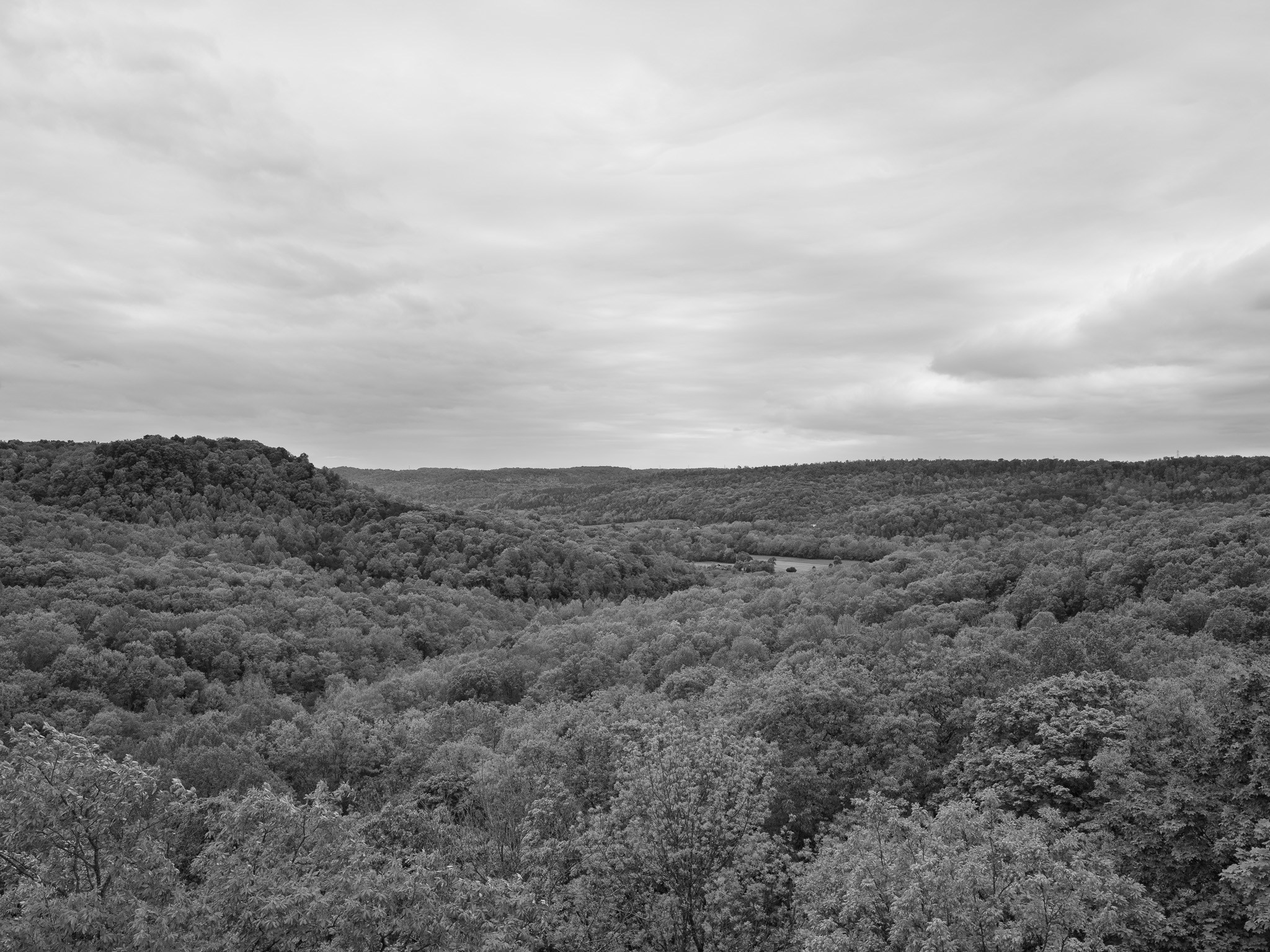 Edge of Appalachia Preserve X