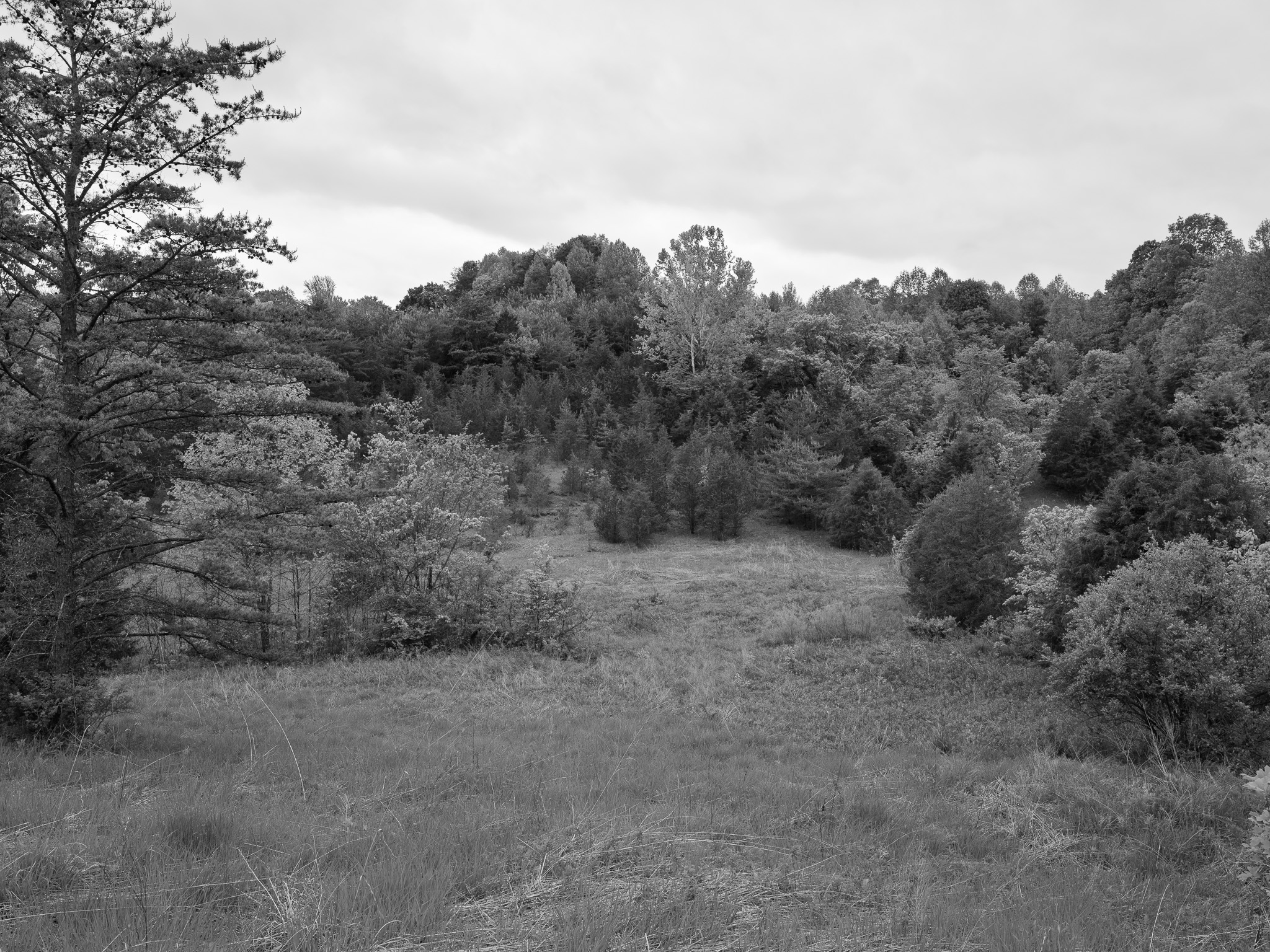 Edge of Appalachia Preserve XIII