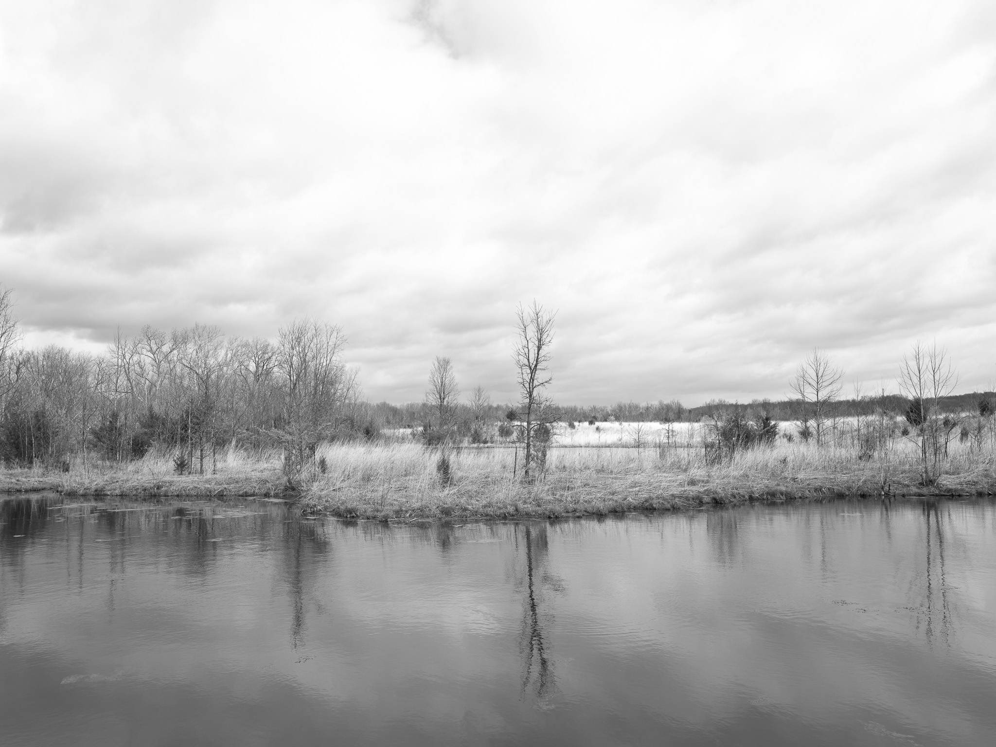 Fernald Preserve I