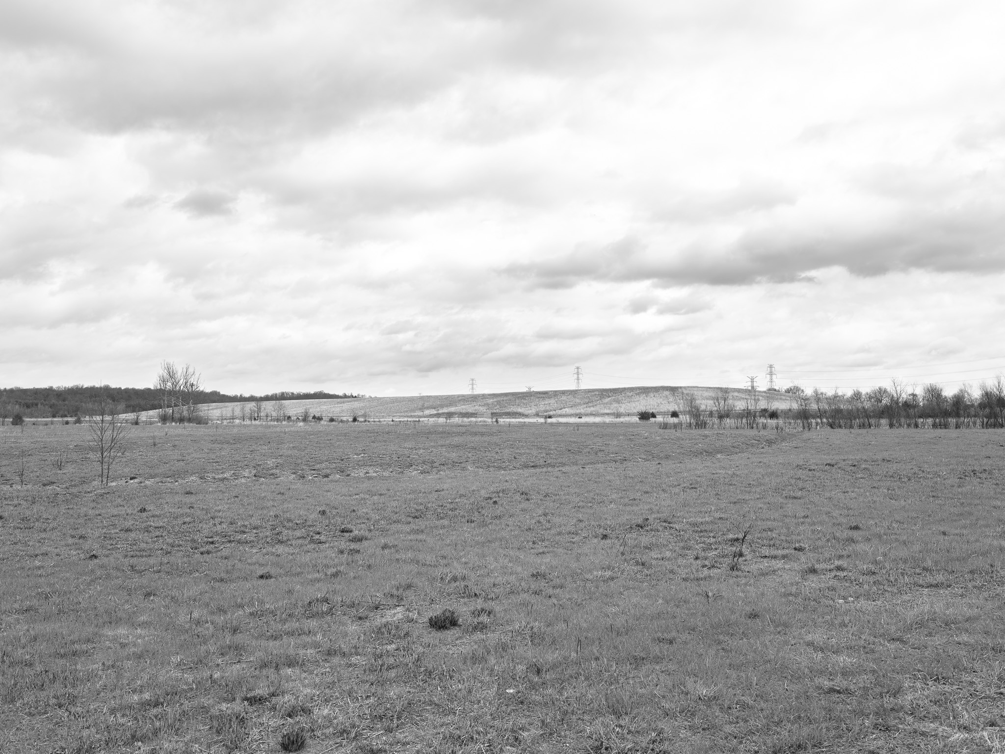 Fernald Preserve II