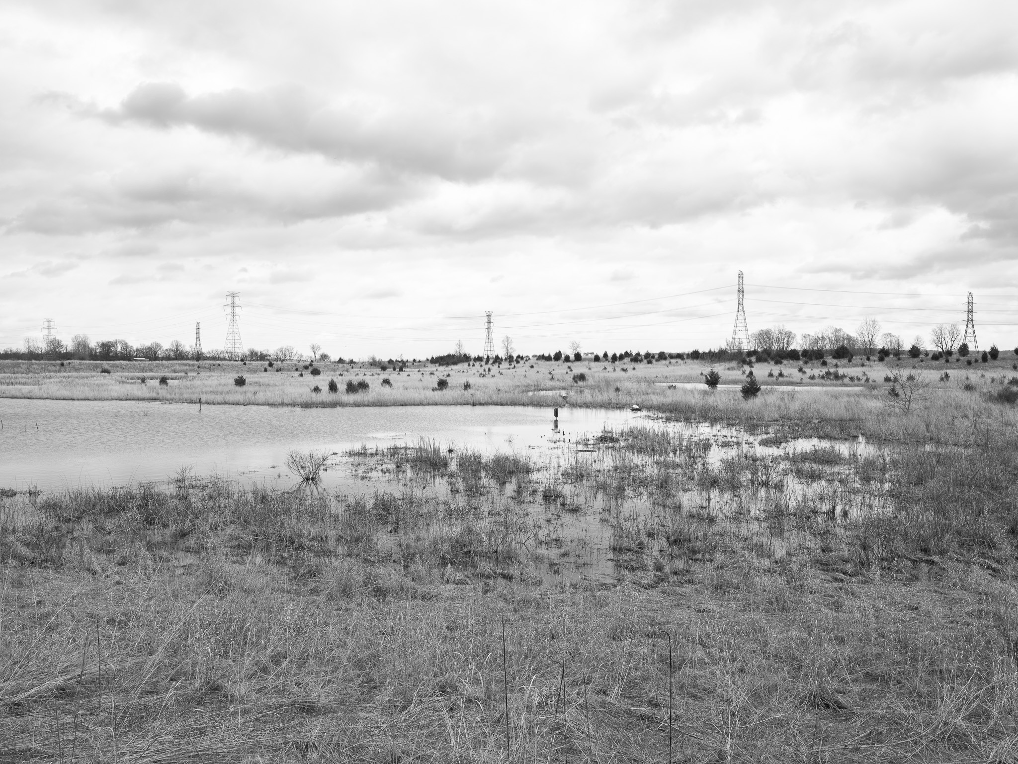 Fernald Preserve IV