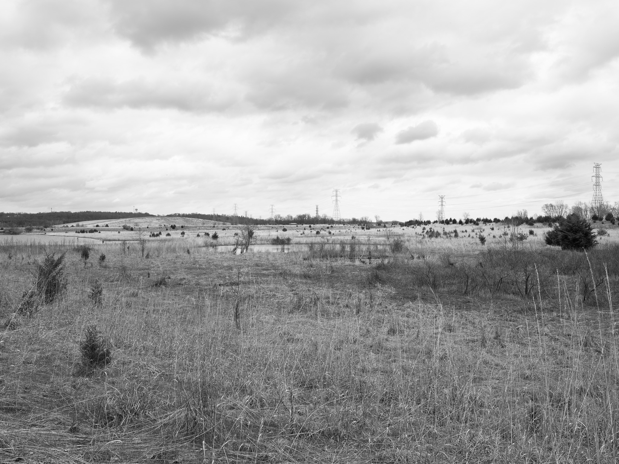 Fernald Preserve VI