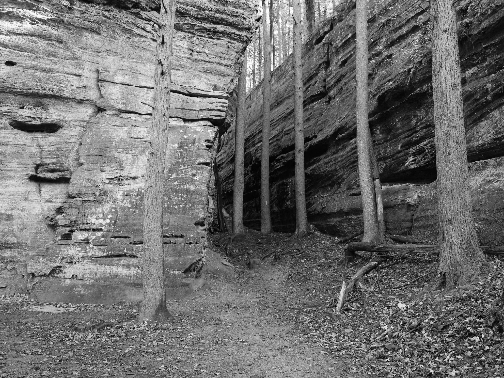 Hocking Hills State Park IV