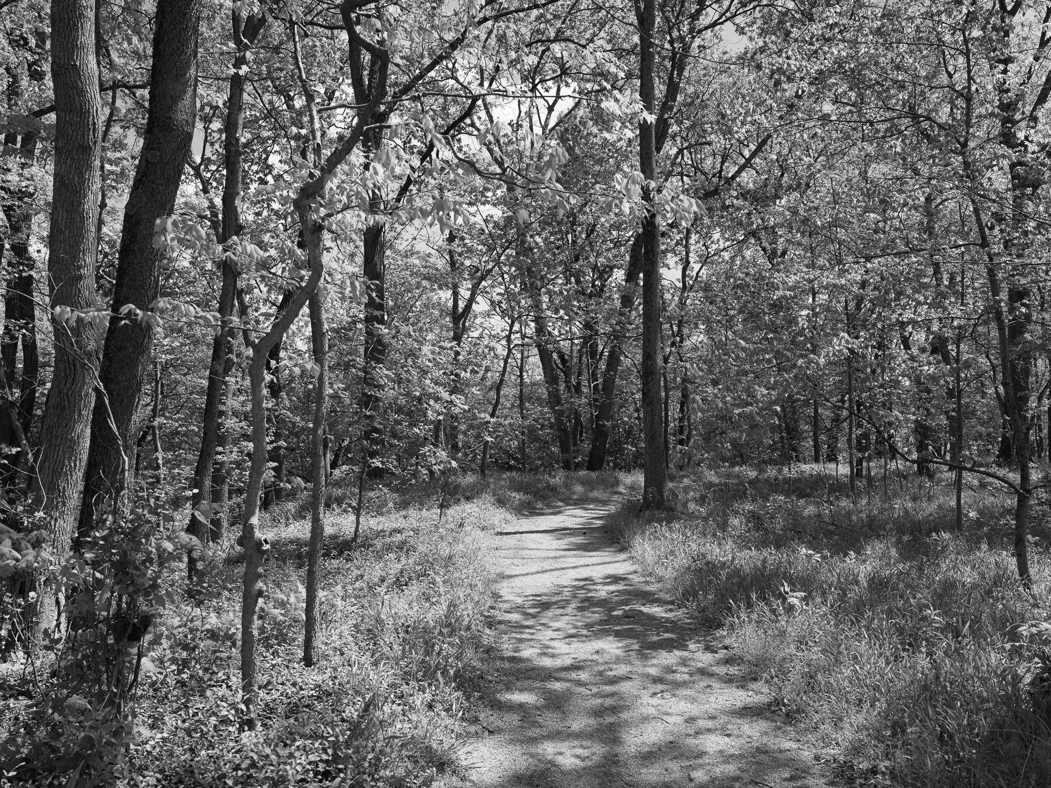 Hopewell Culture National Historical Park III
