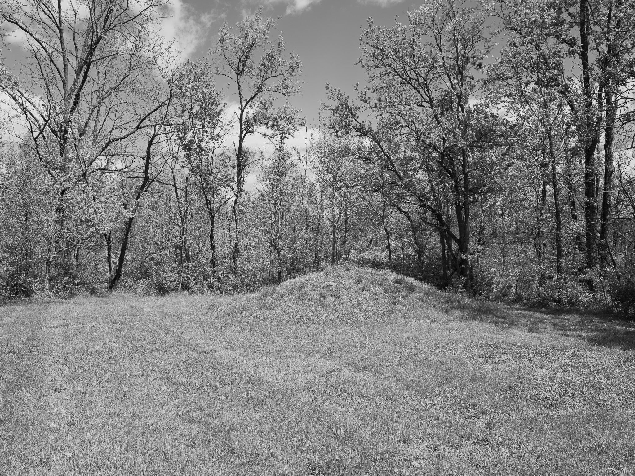 Hopewell Culture National Historical Park VIII
