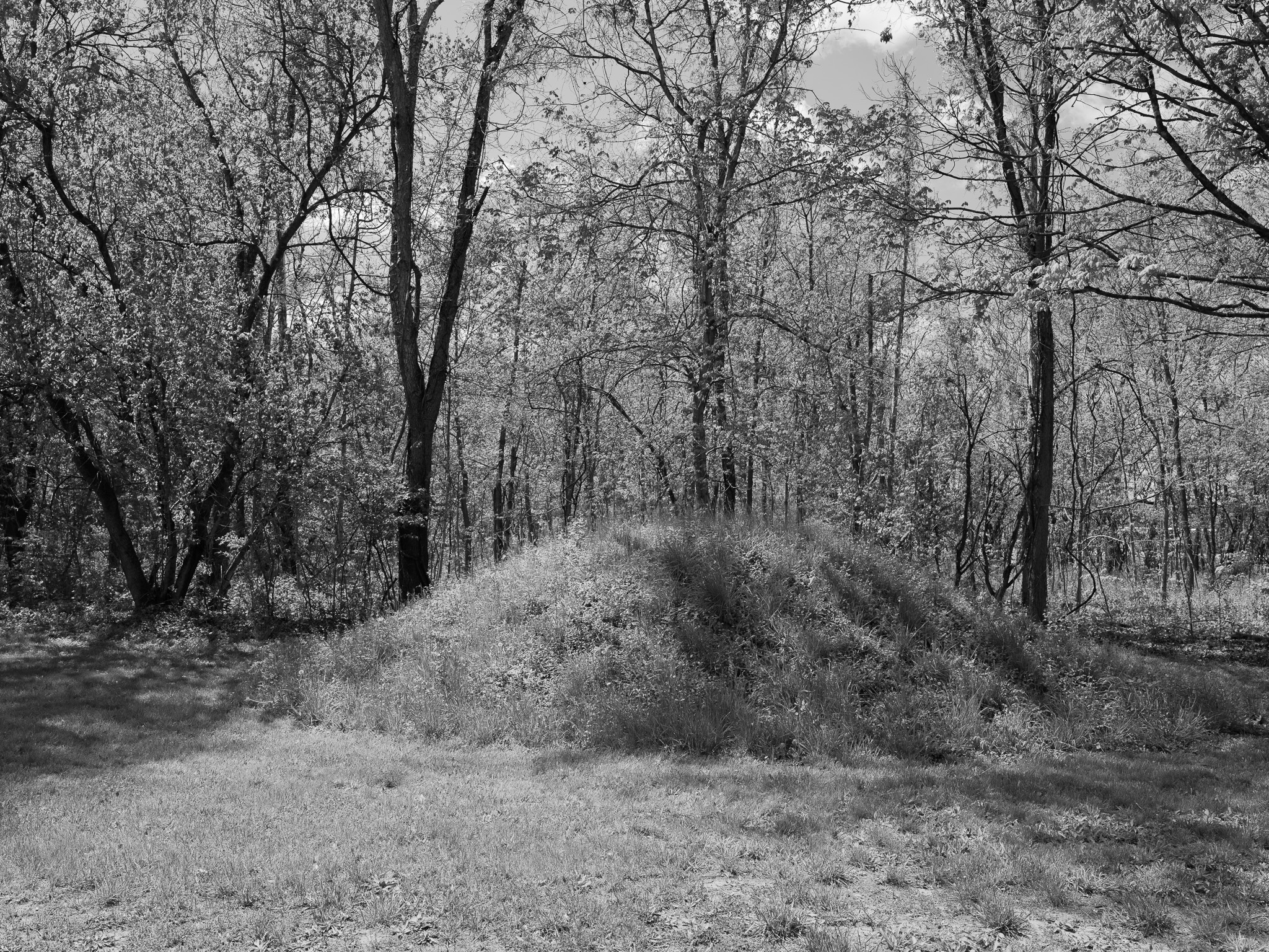 Hopewell Culture National Historical Park IX