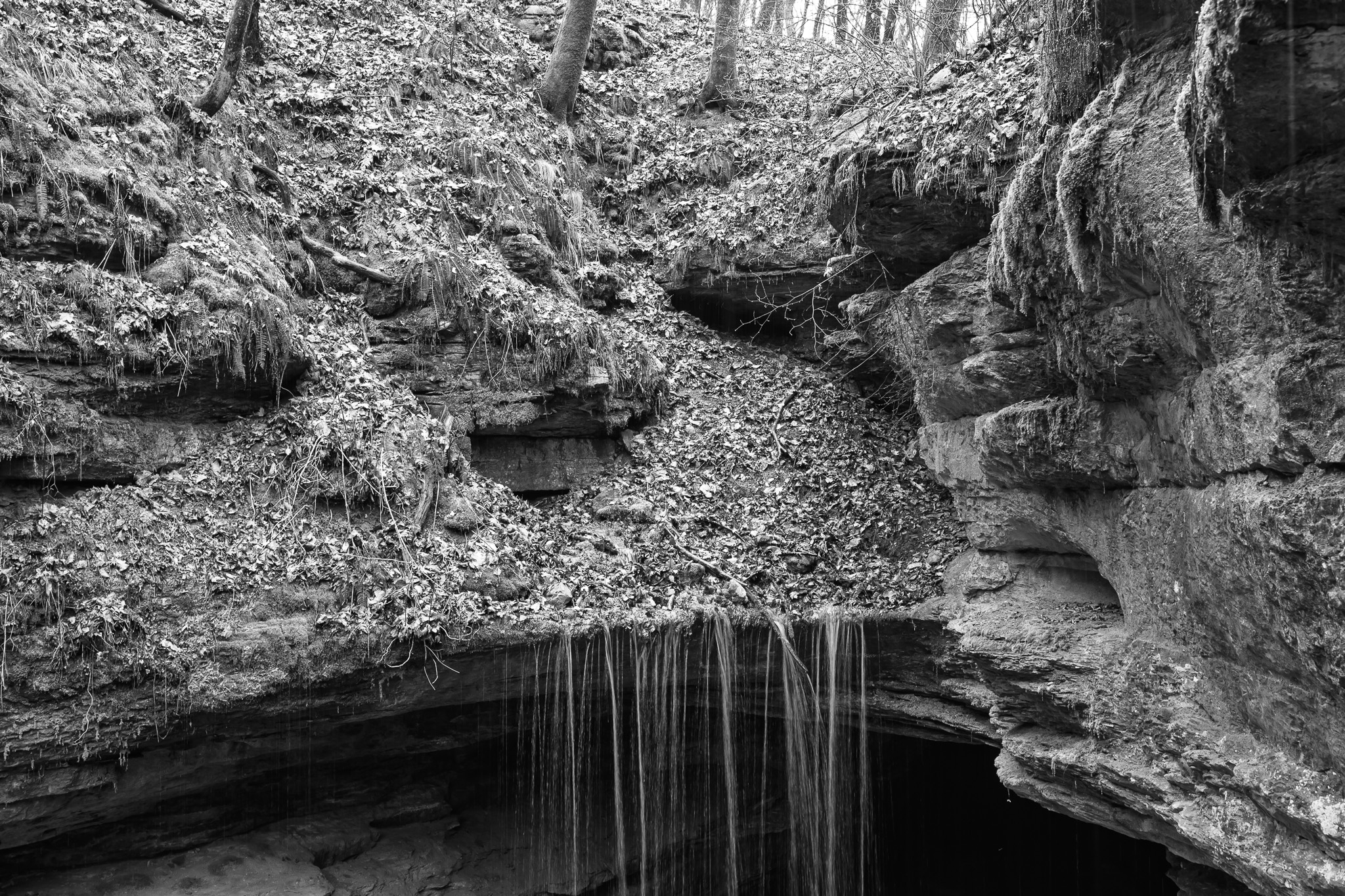 Mammoth Cave National Park I