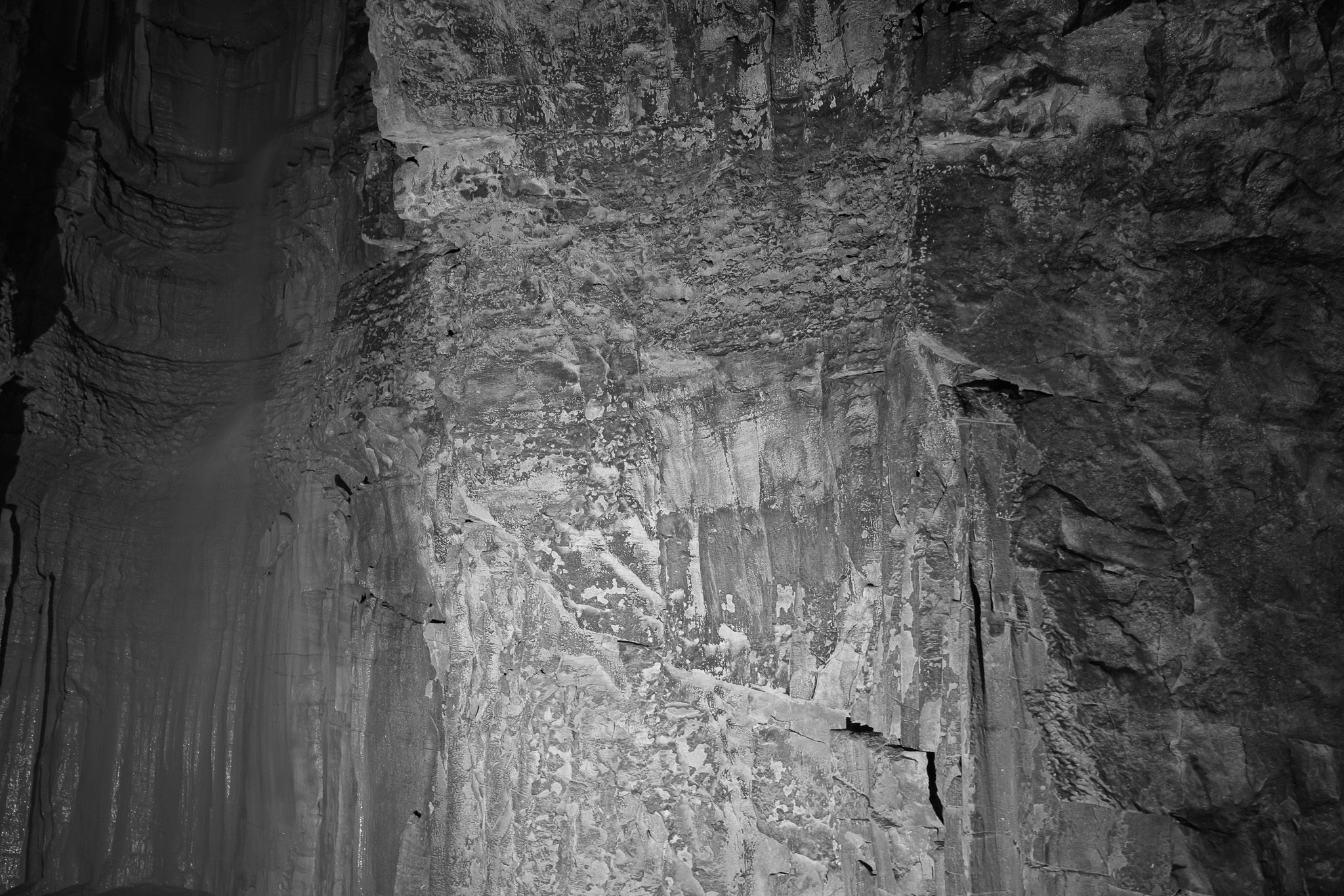 Mammoth Cave National Park IV