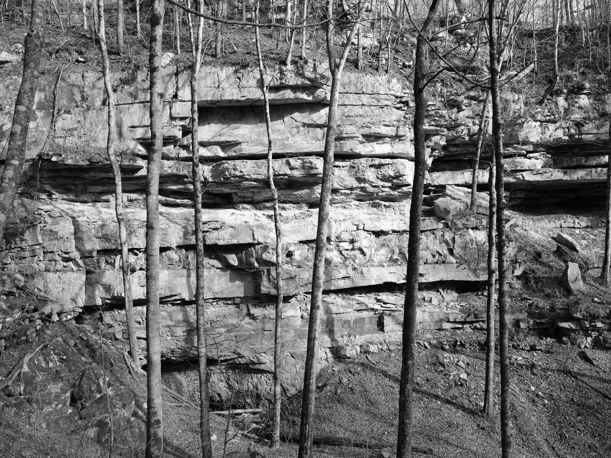 Mammoth Cave National Park VII