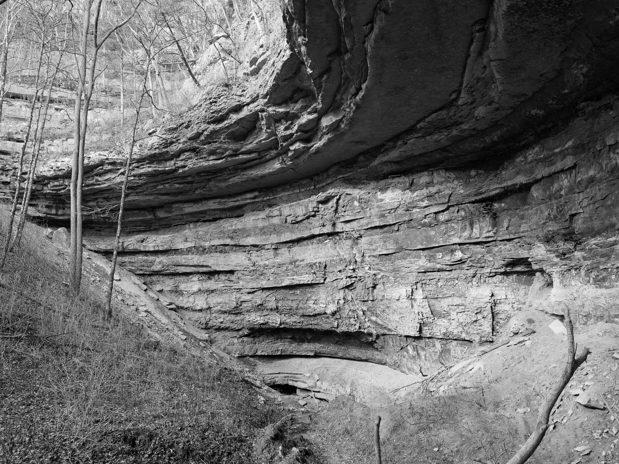 Mammoth Cave National Park VIII