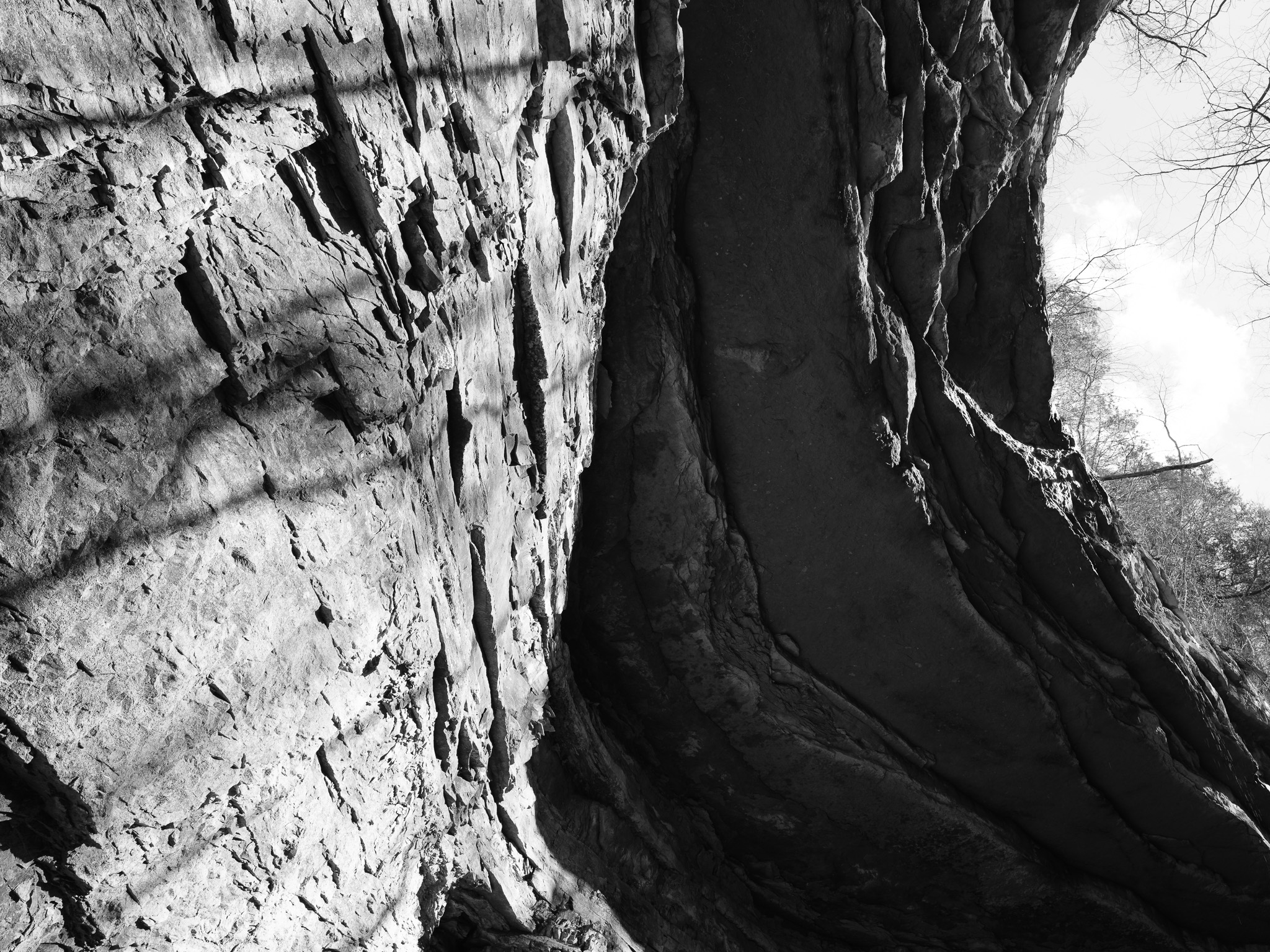 Mammoth Cave National Park XIII