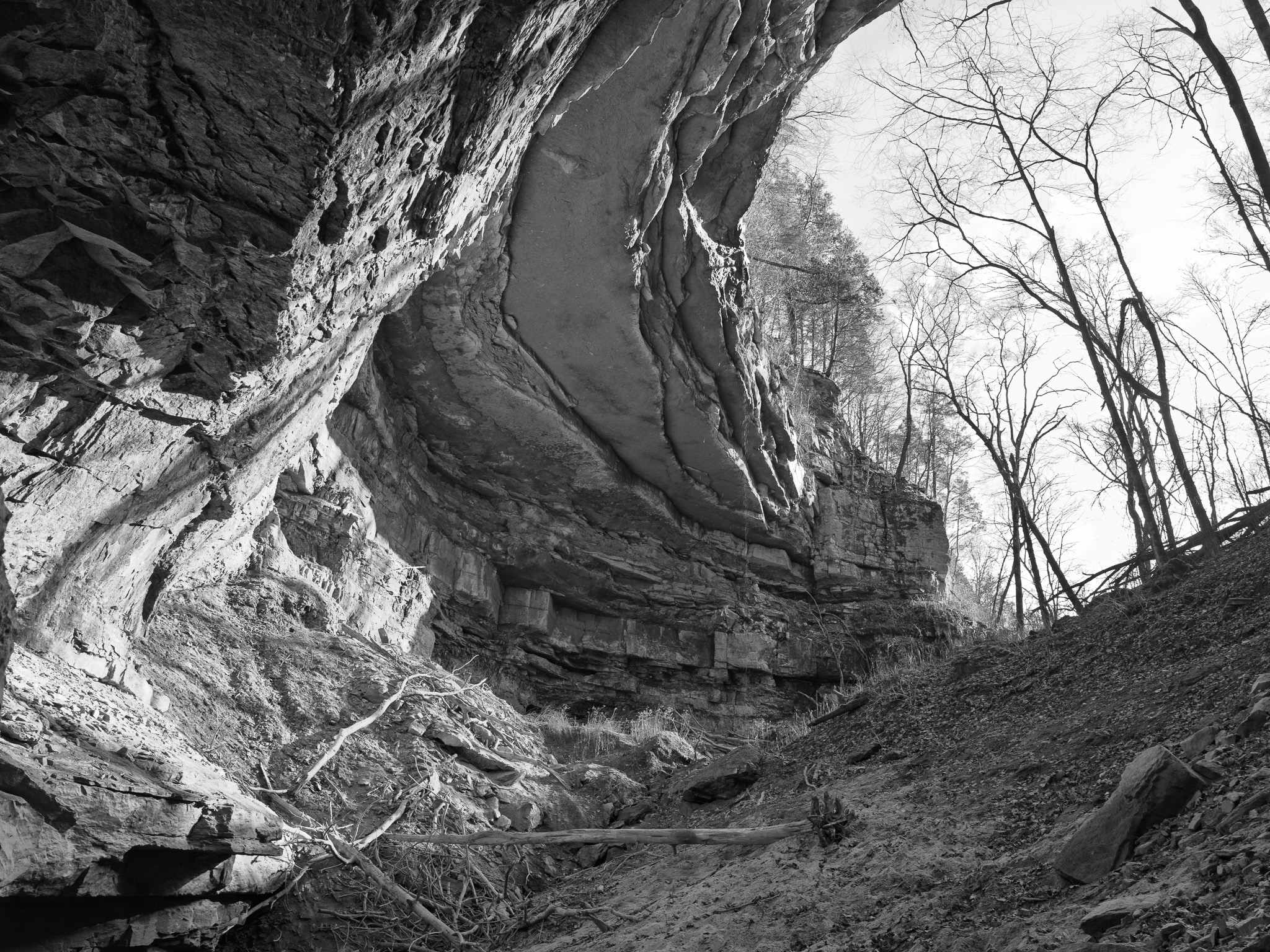 Mammoth Cave National Park XV