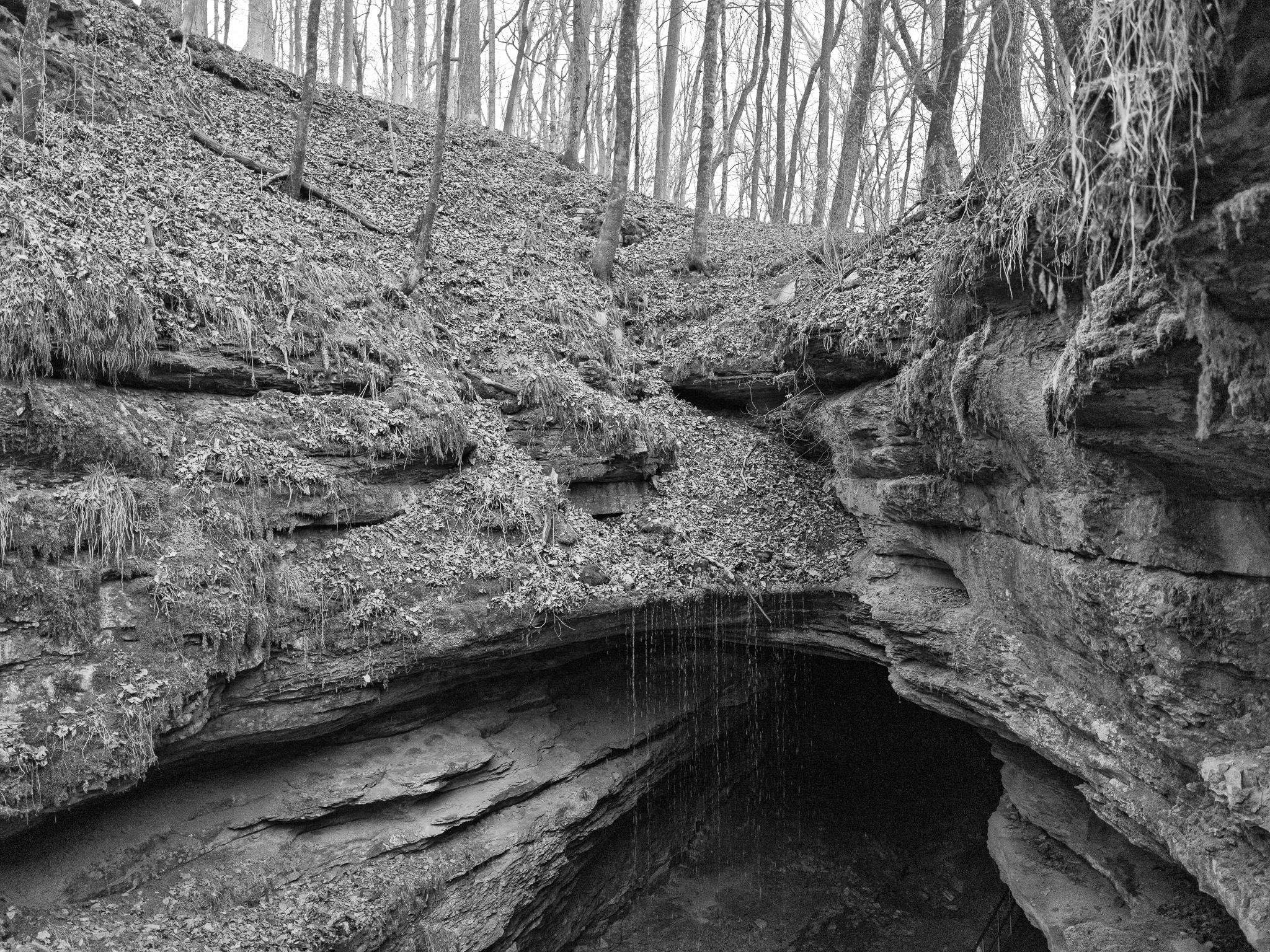Mammoth Cave National Park XVII