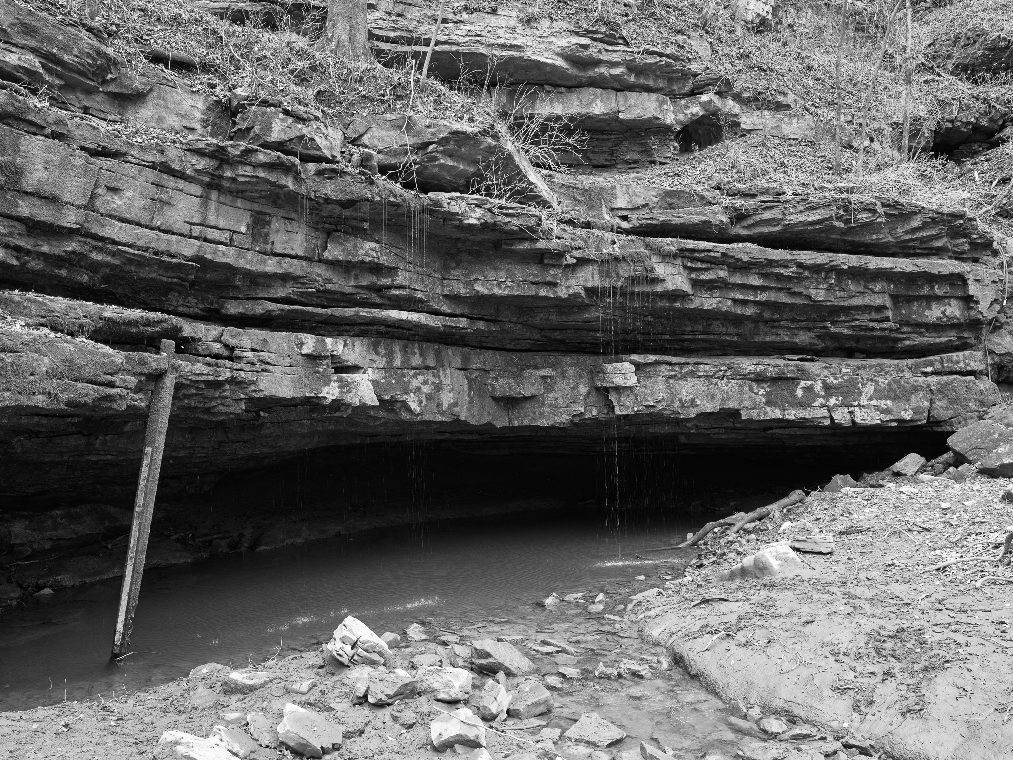 Mammoth Cave National Park XX