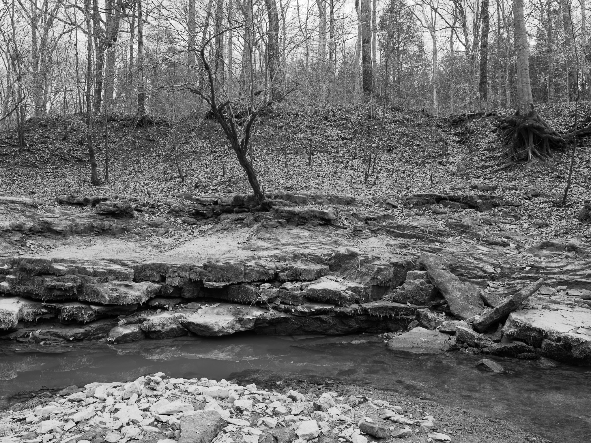 Mammoth Cave National Park XXI
