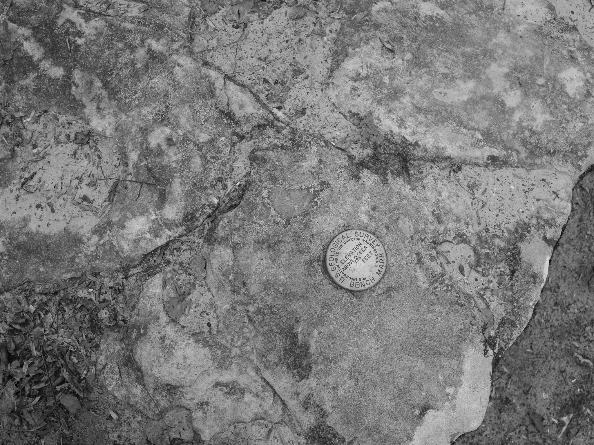 Mammoth Cave National Park XXII