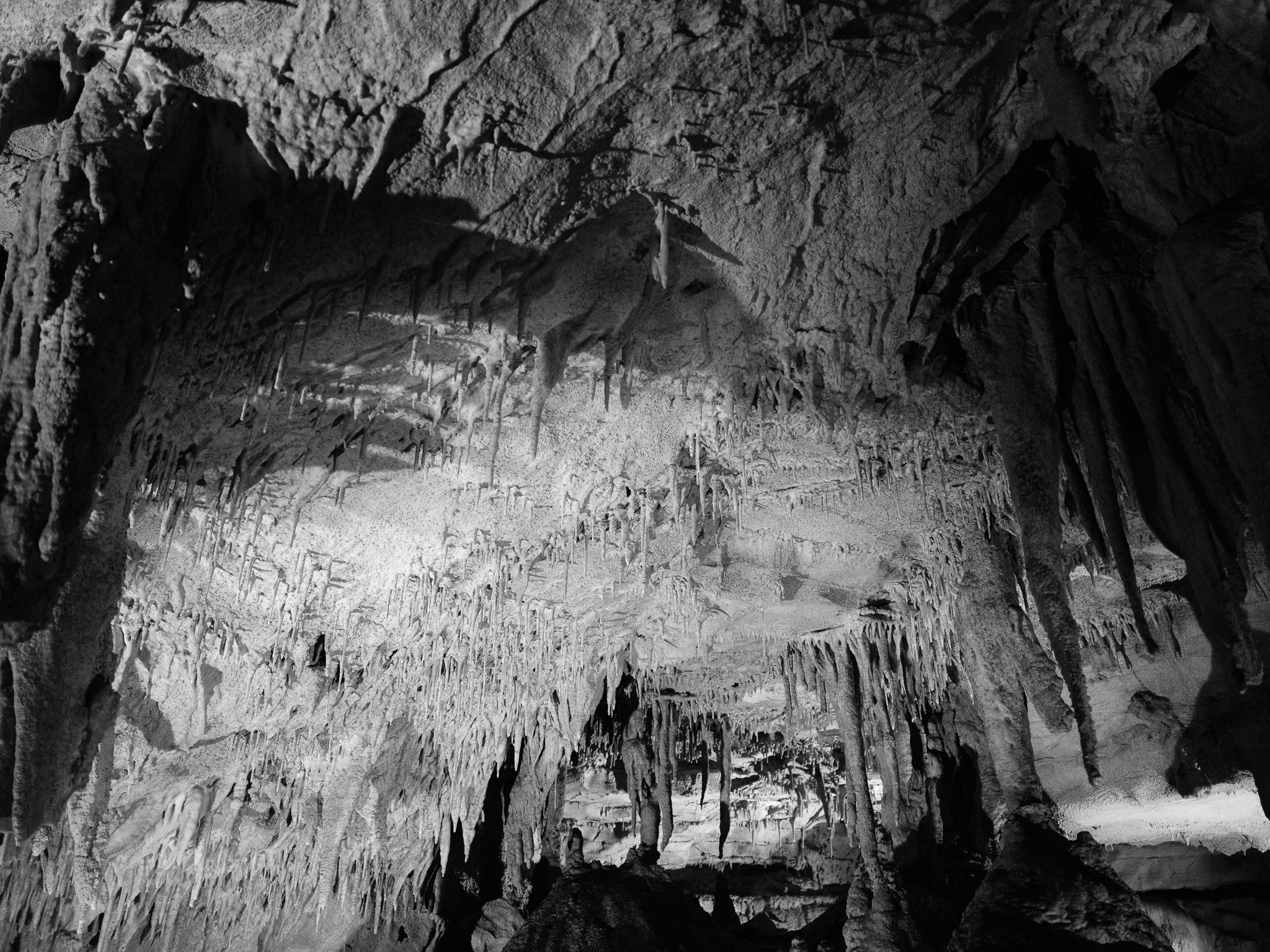 Mammoth Cave National Park XXVII
