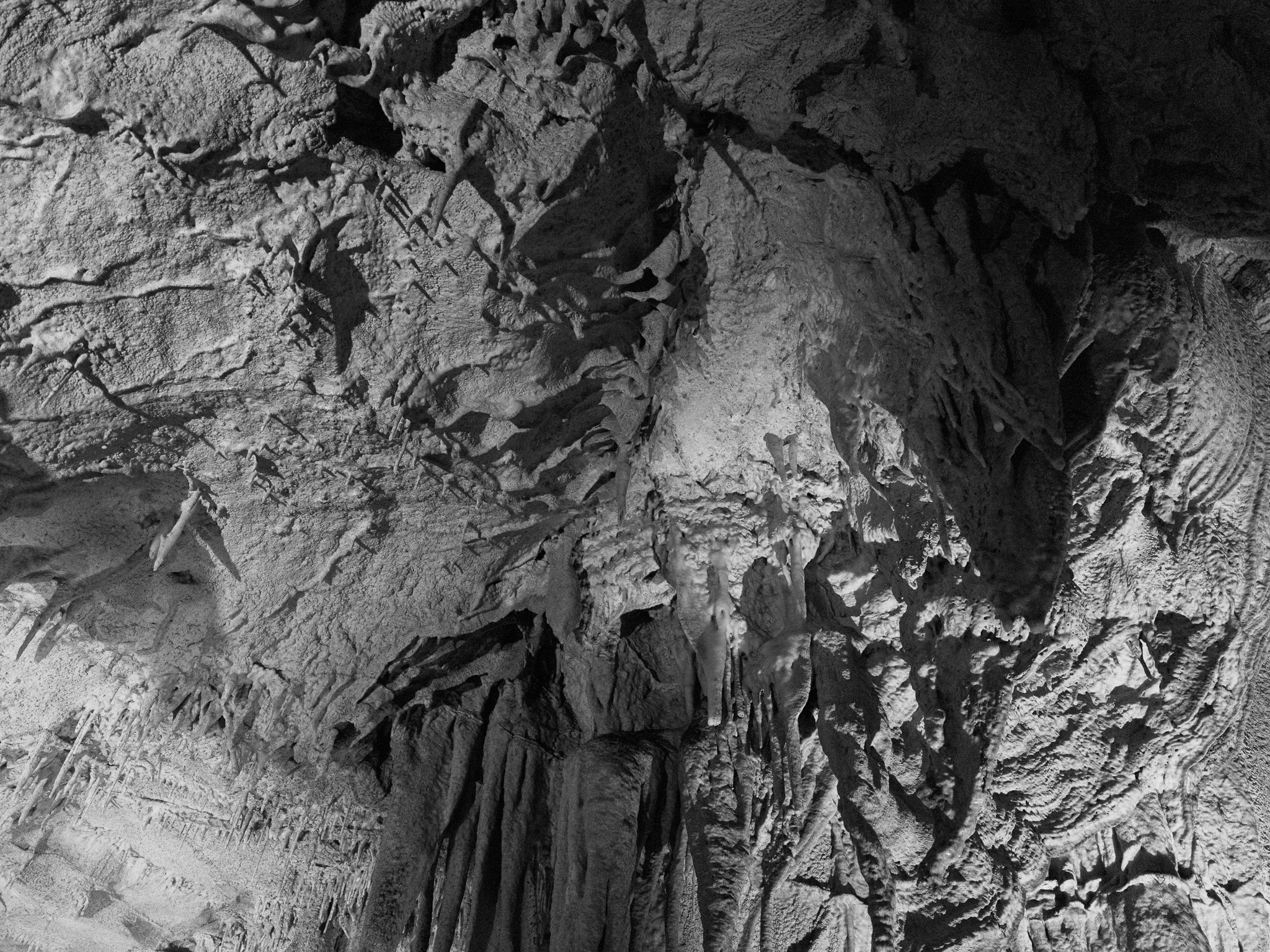 Mammoth Cave National Park XXVIII