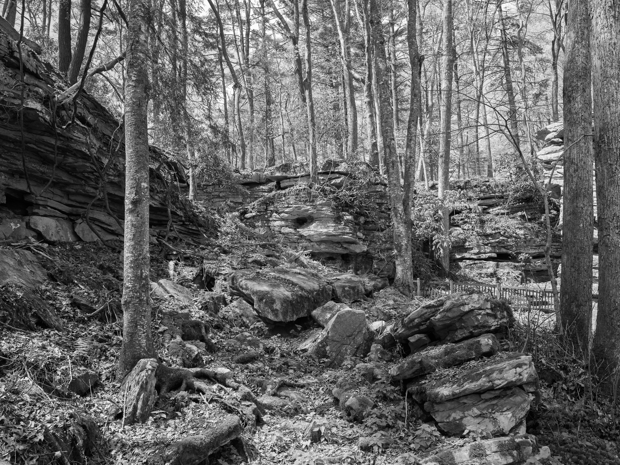 New River Gorge National Park and Preserve VII
