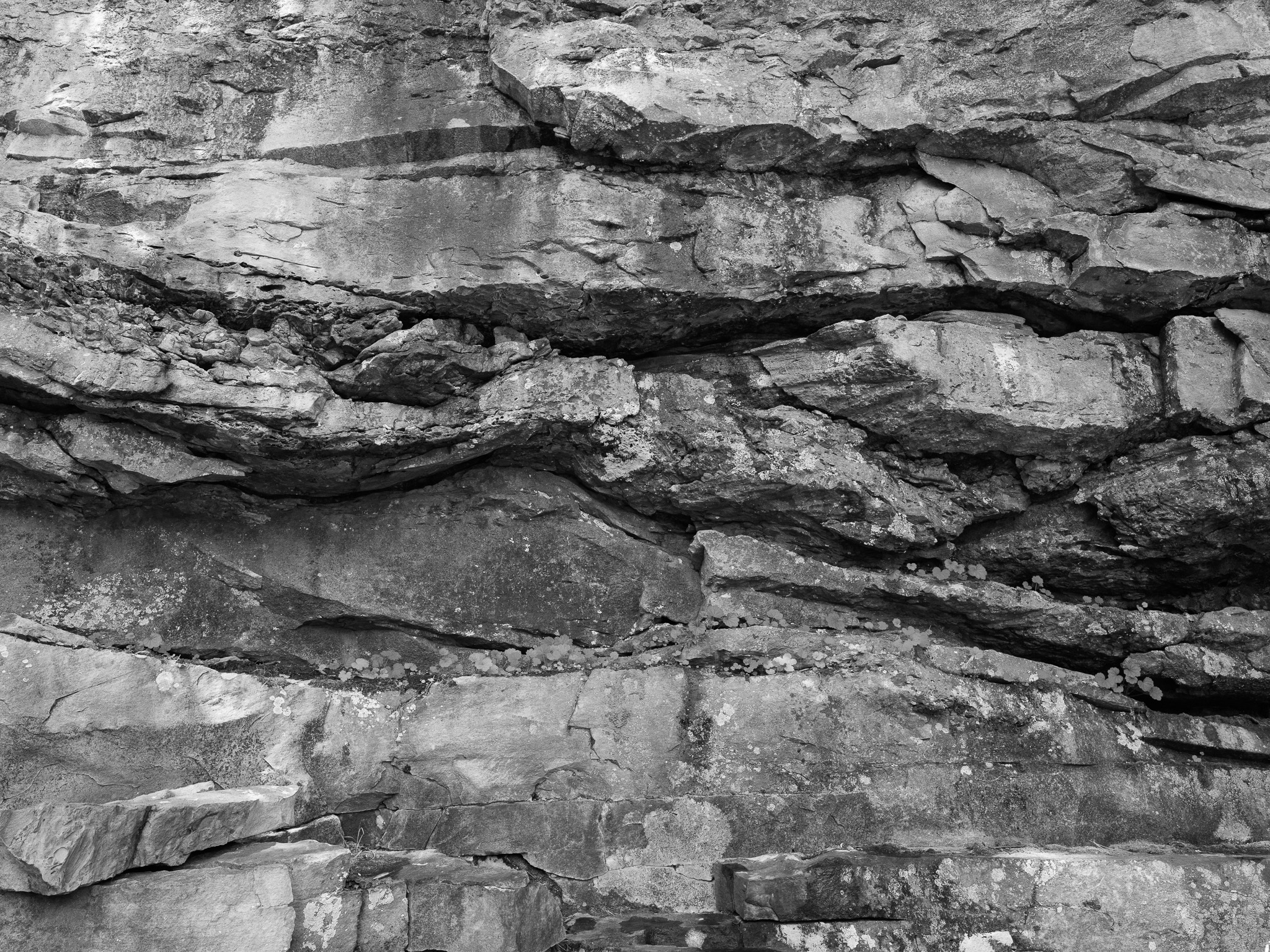 New River Gorge National Park and Preserve XI