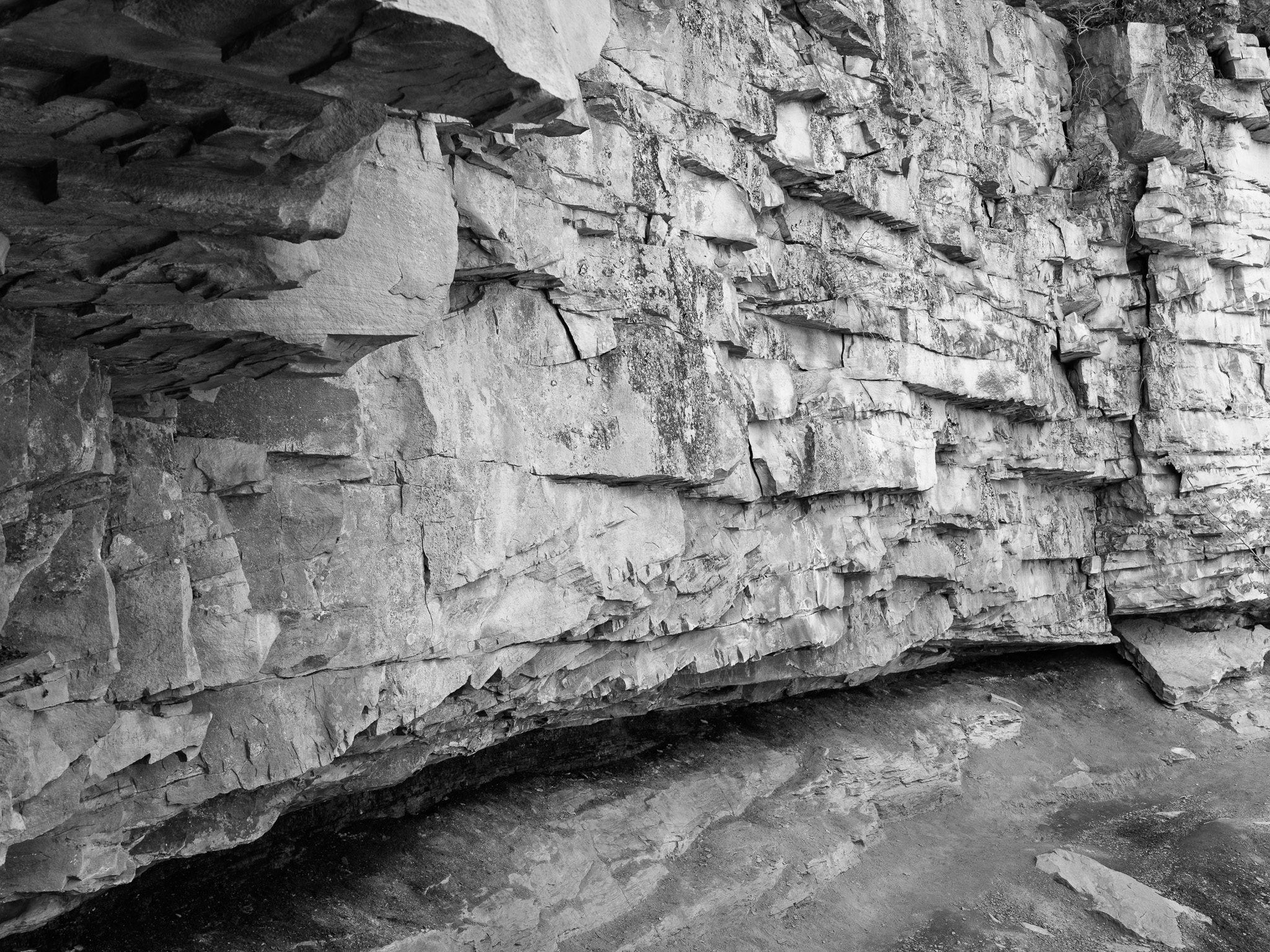 New River Gorge National Park and Preserve XII