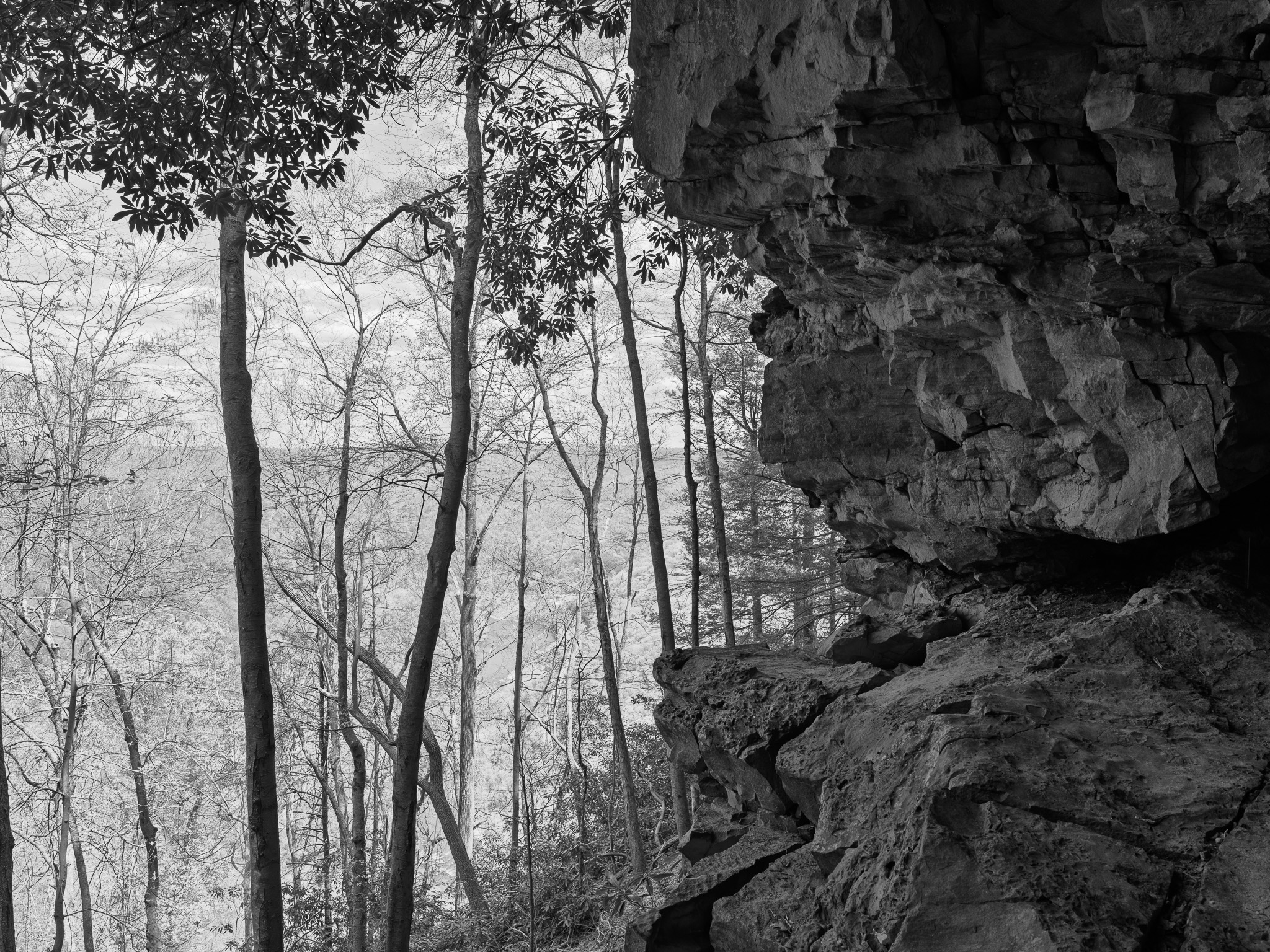 New River Gorge National Park and Preserve XV