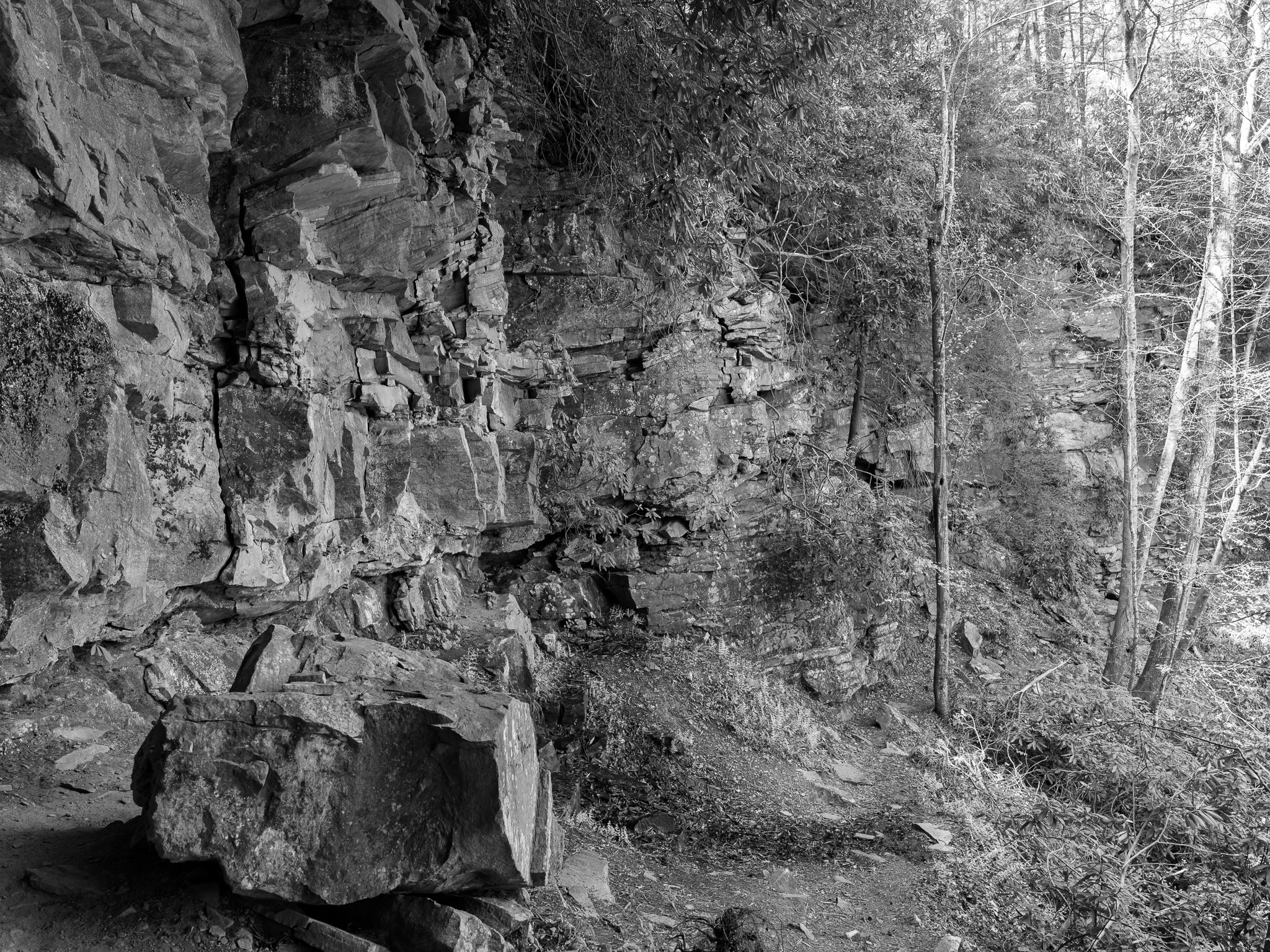 New River Gorge National Park and Preserve XVI