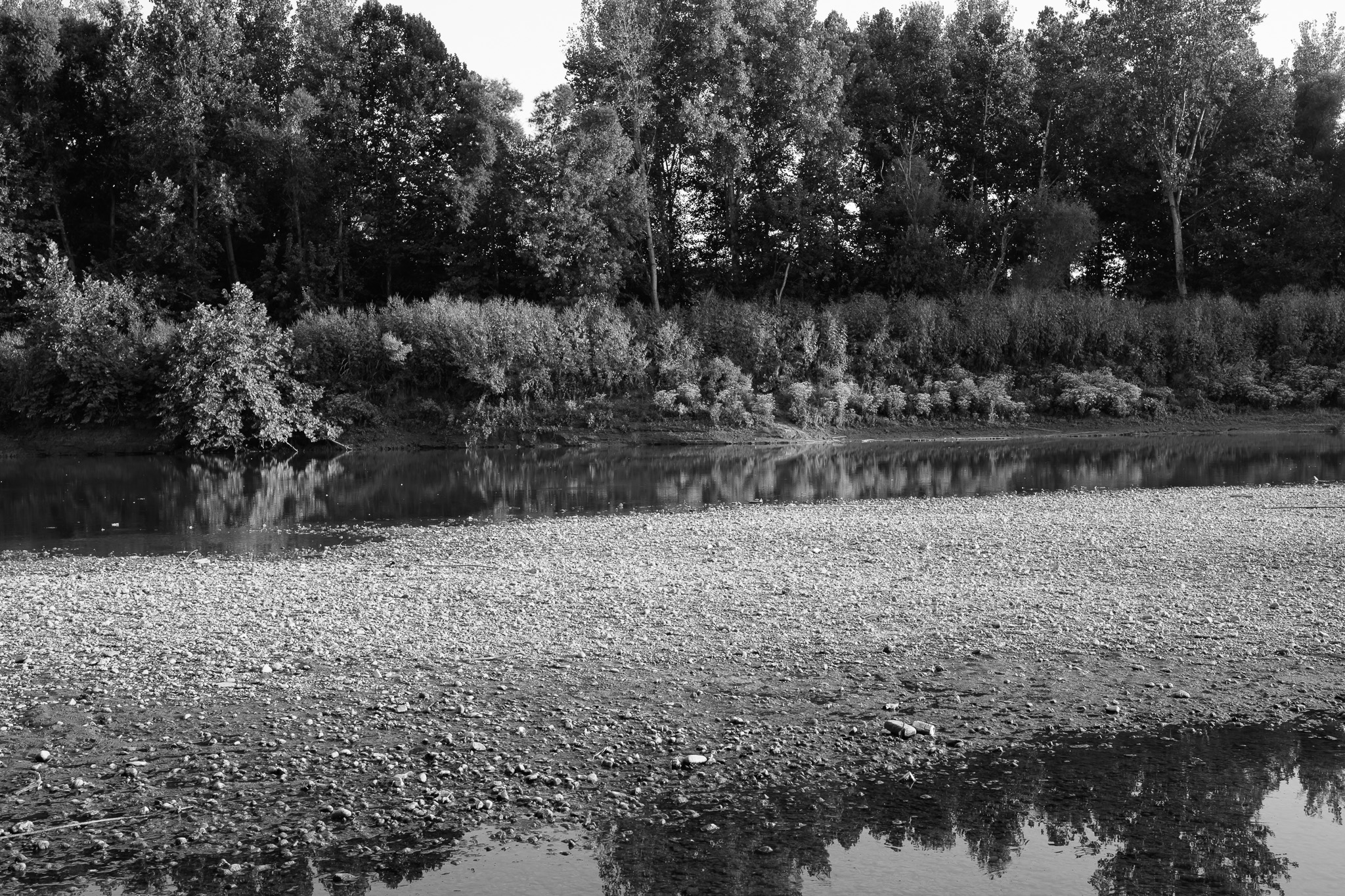 Otto Armleder Memorial Park IV