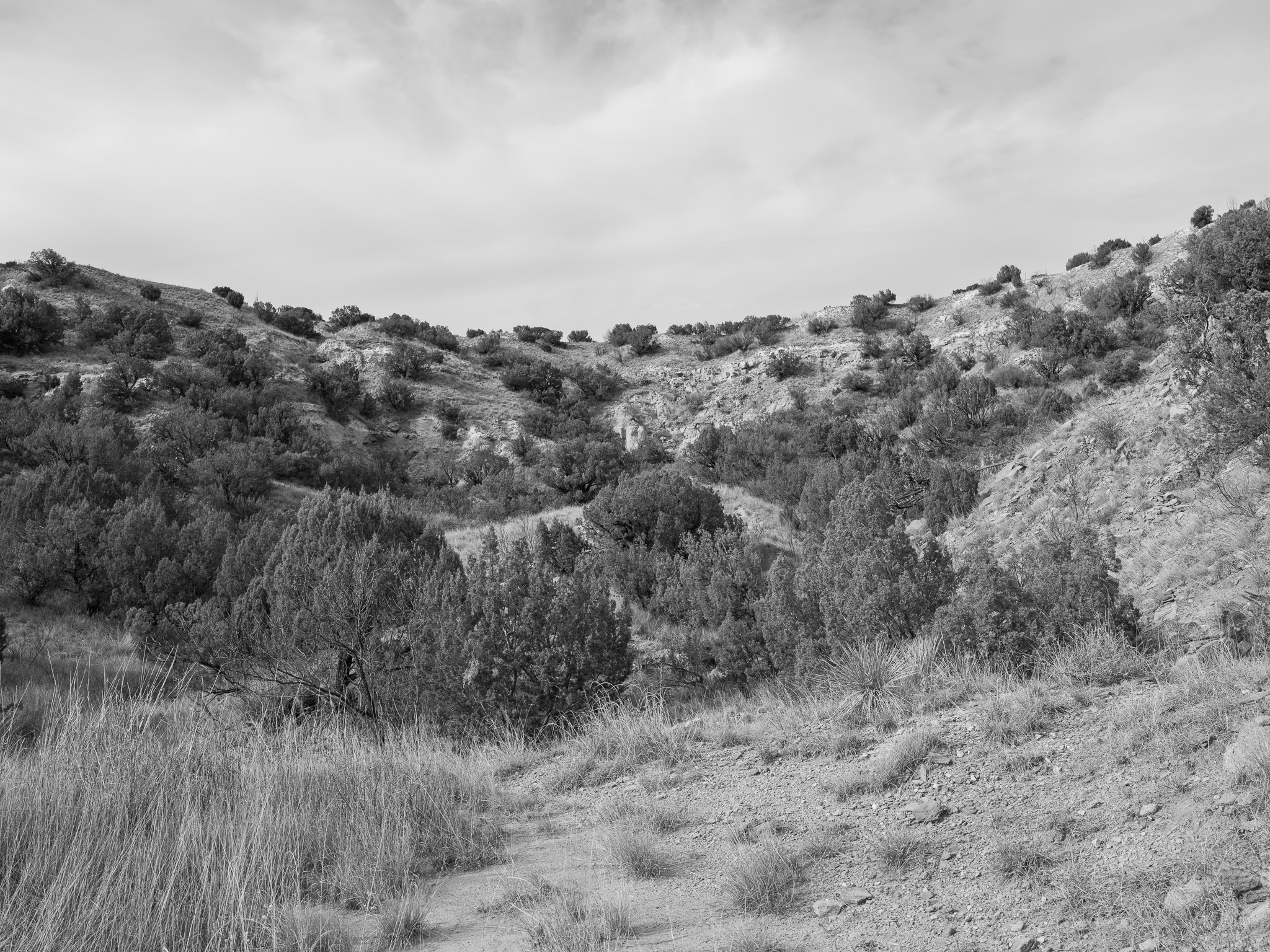 Palo Duro Canyon State Park I