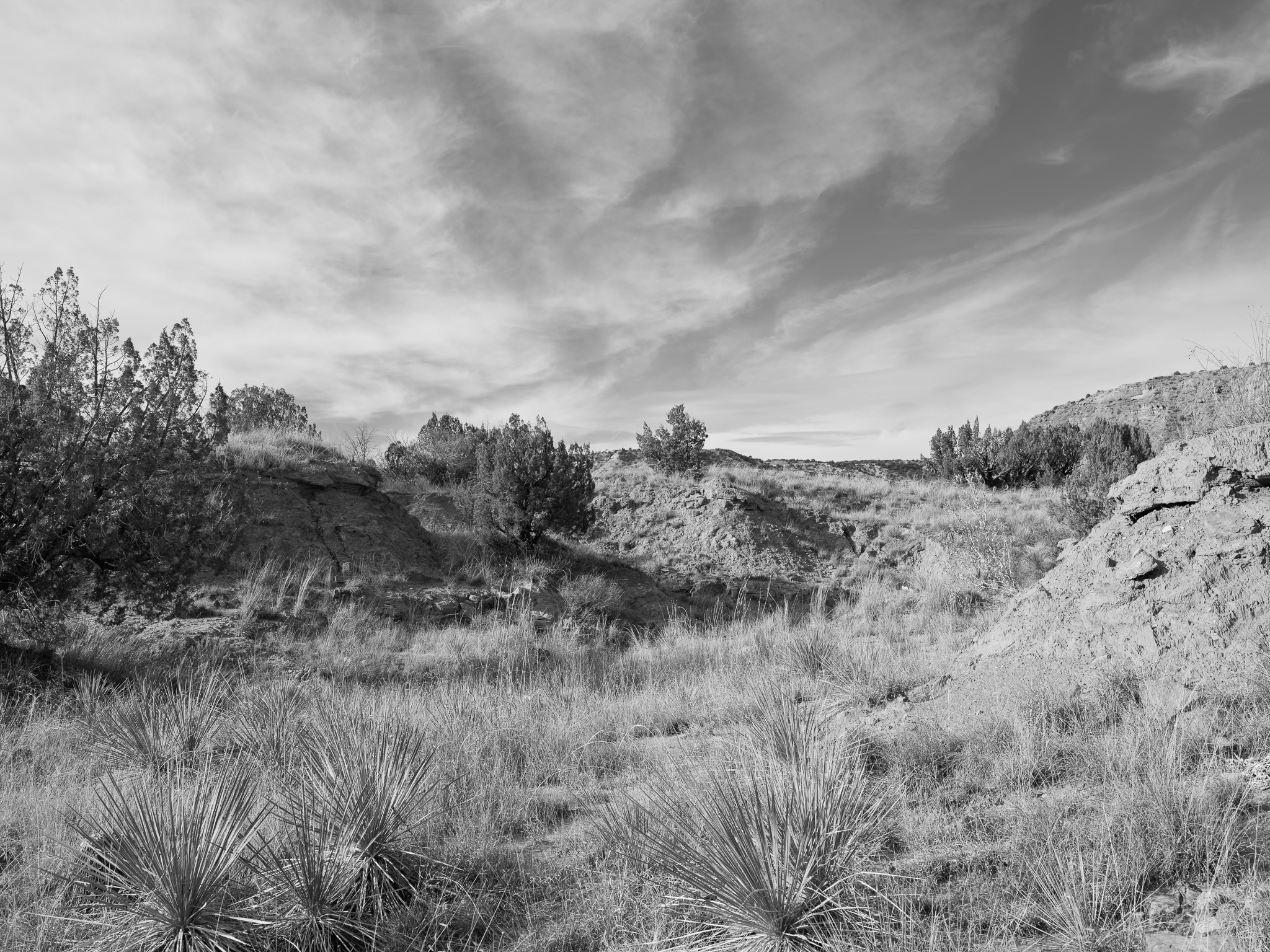 Palo Duro Canyon State Park VII