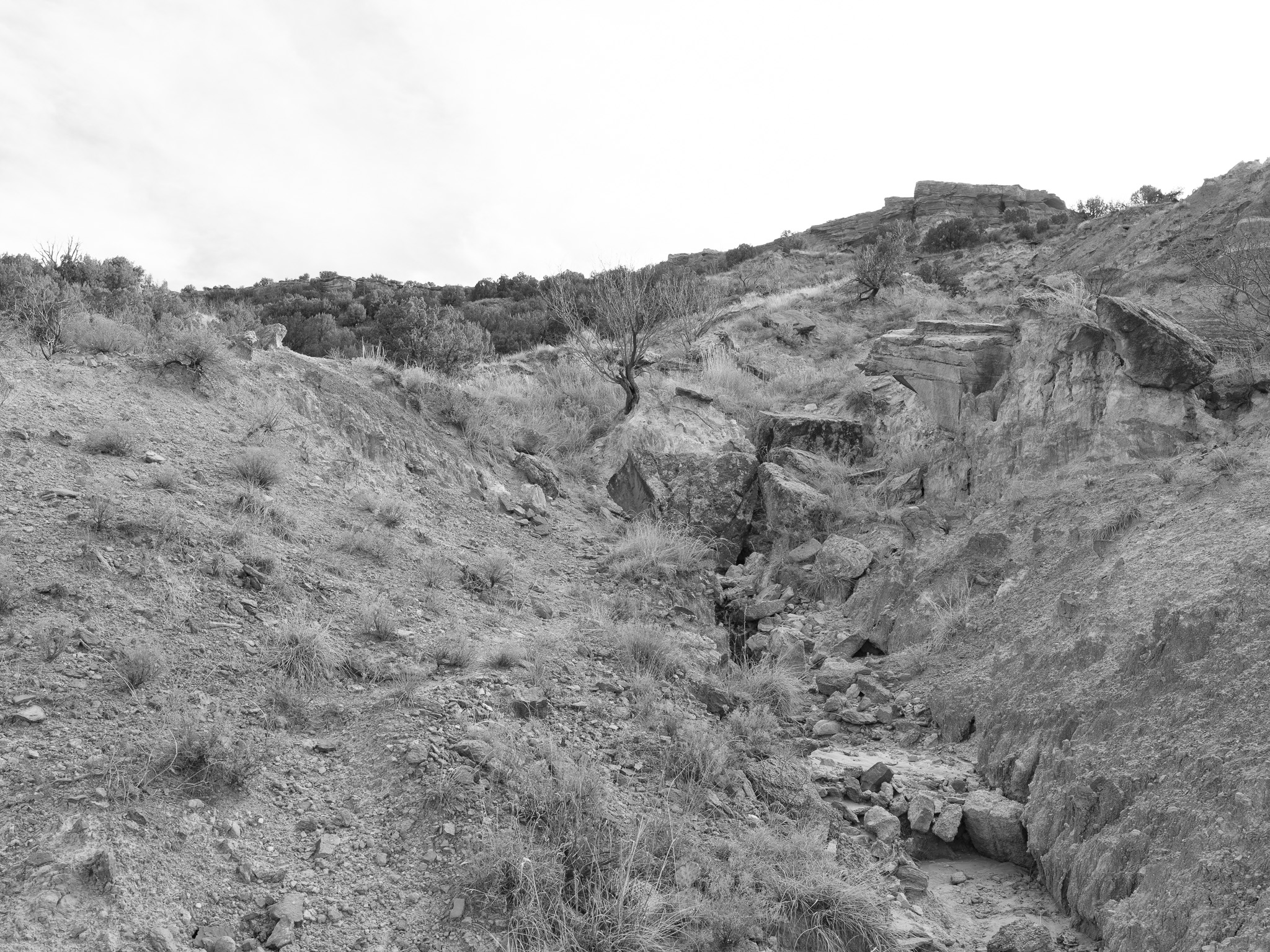 Palo Duro Canyon State Park VIII