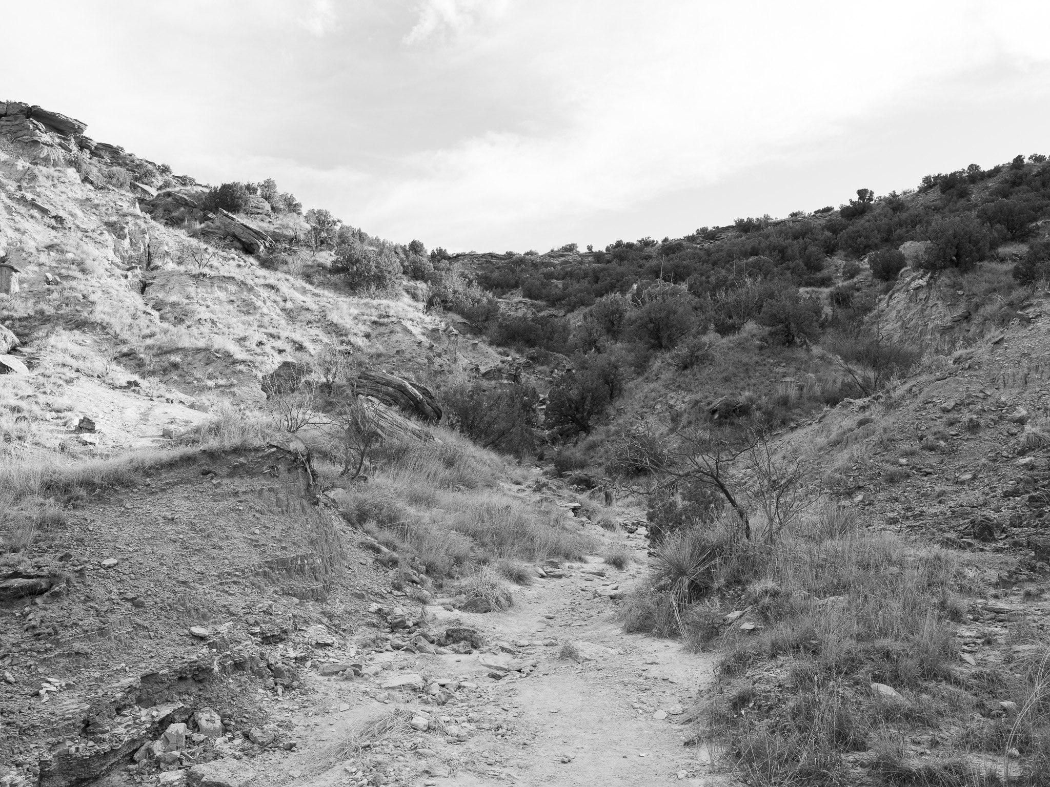 Palo Duro Canyon State Park X