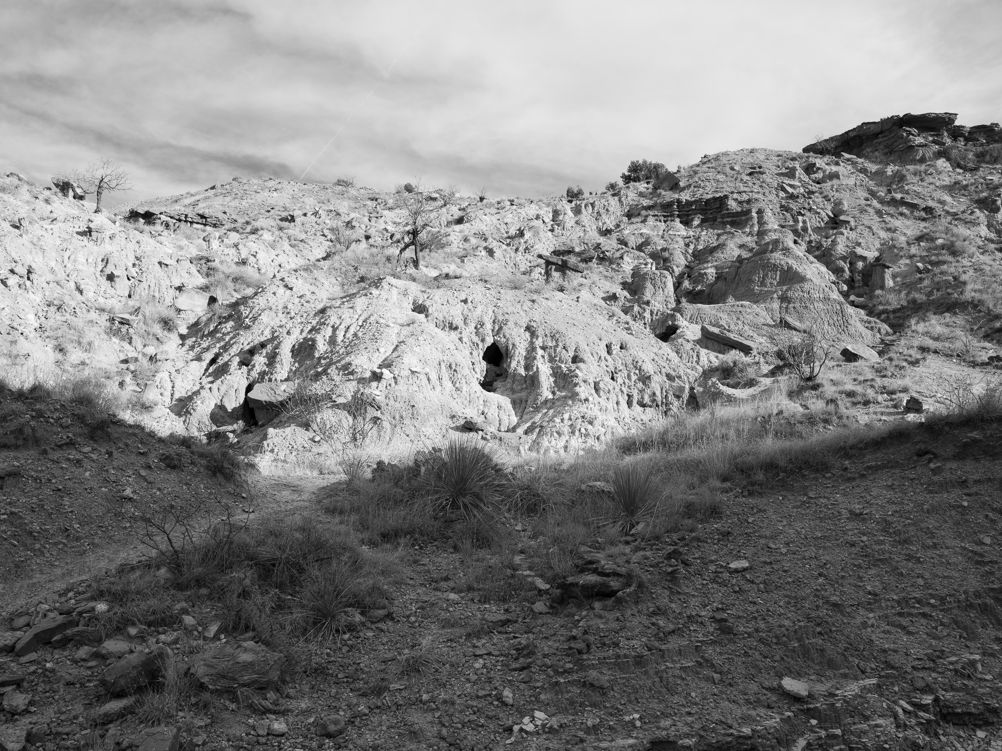 Palo Duro Canyon State Park XI
